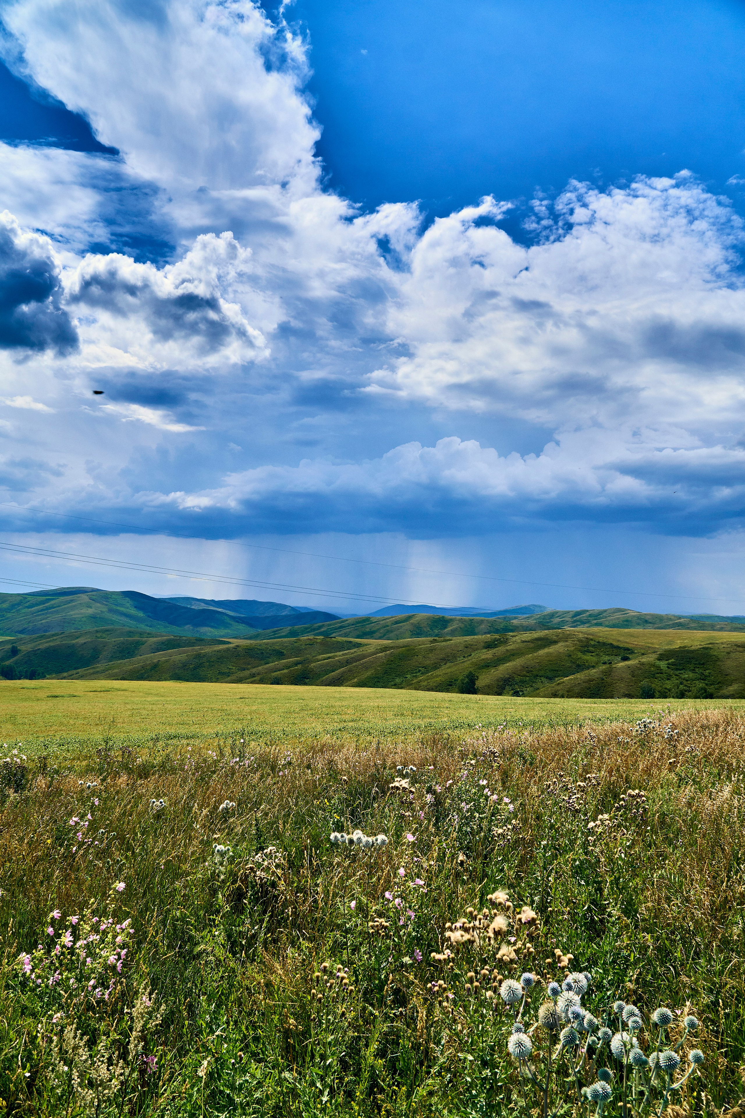 Бухтарма. Андрей Шипилов — Фотография & Видеография
