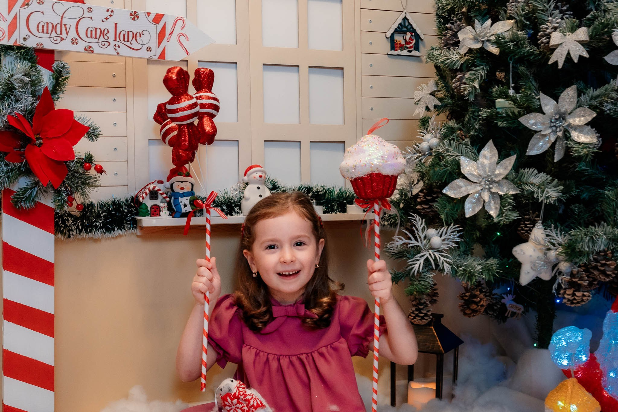 Sedinta Craciun Nicoleta