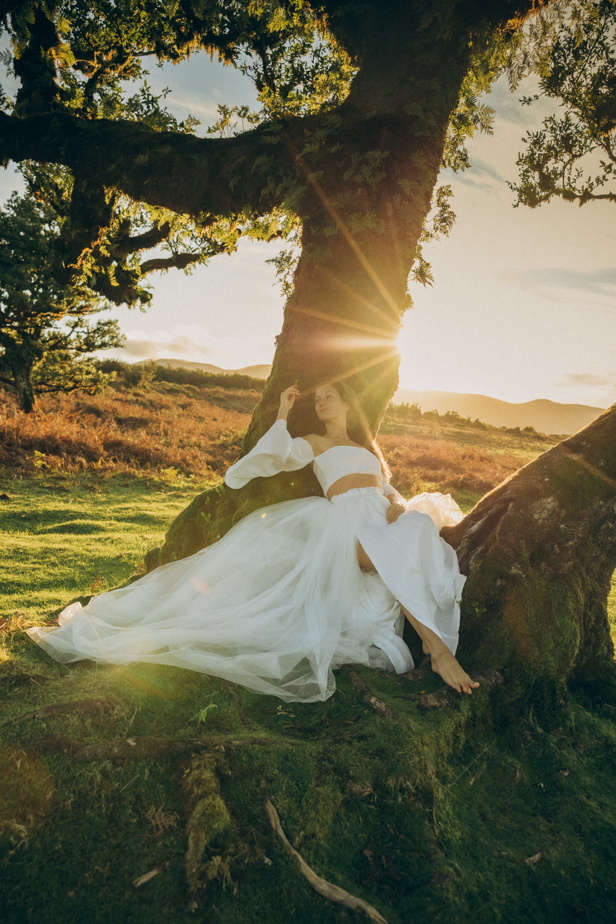 Professional photography in Madeira