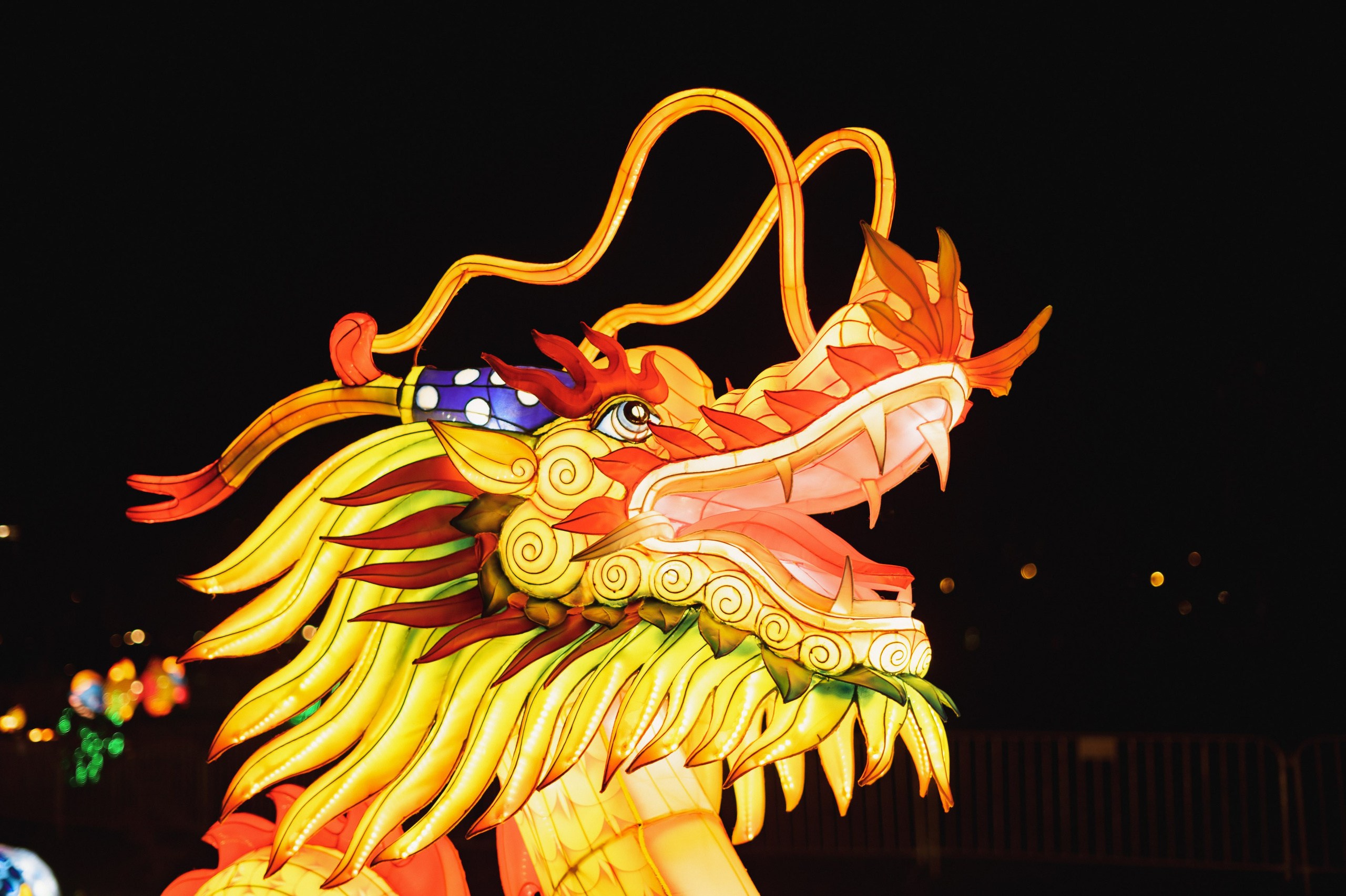 Svecano otvaranje Kineskog festivala svetla u Novom Sadu. Жуков Студио