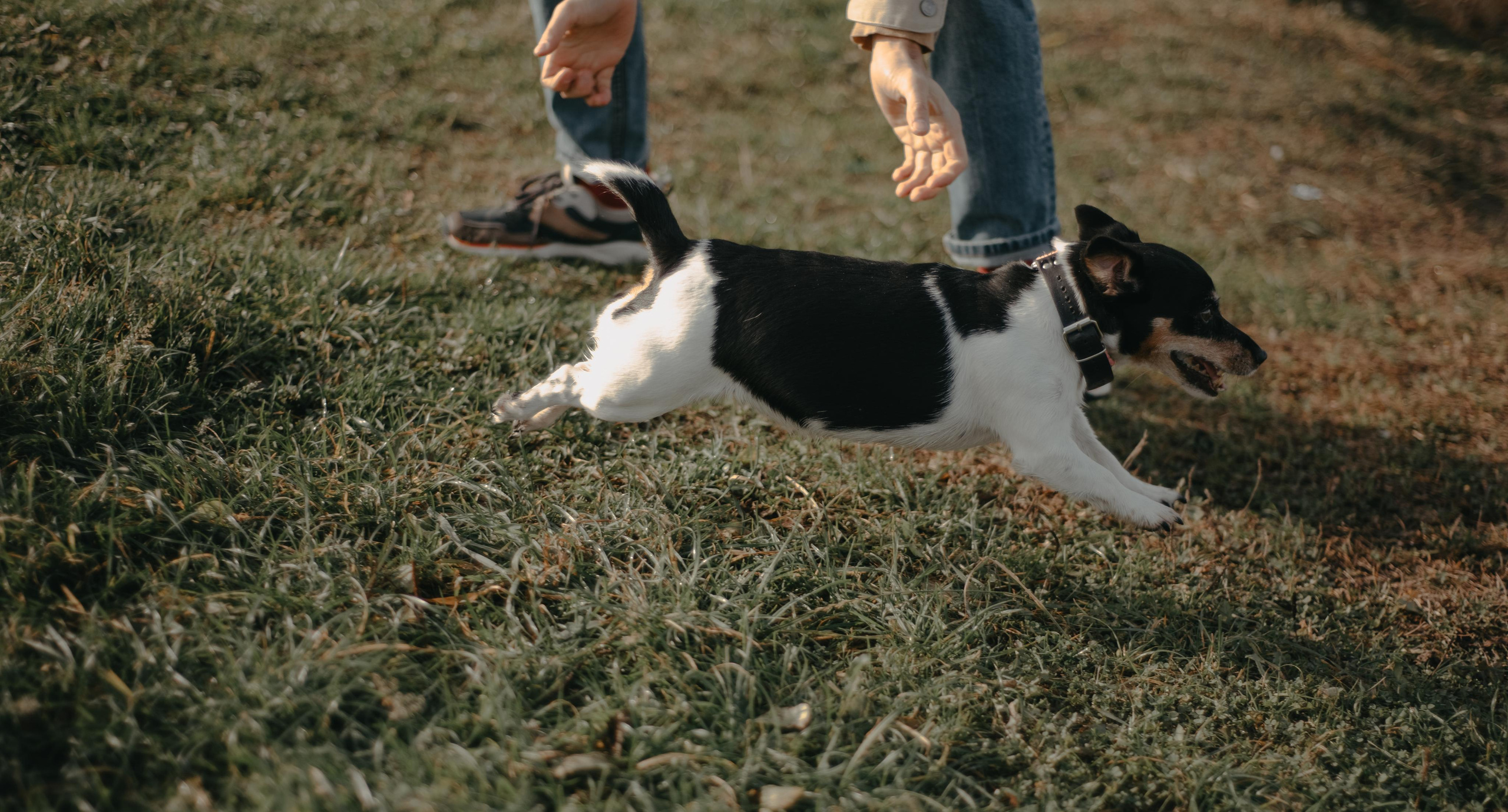 Aleksey & Polina love story. Фотографы Минск и мир