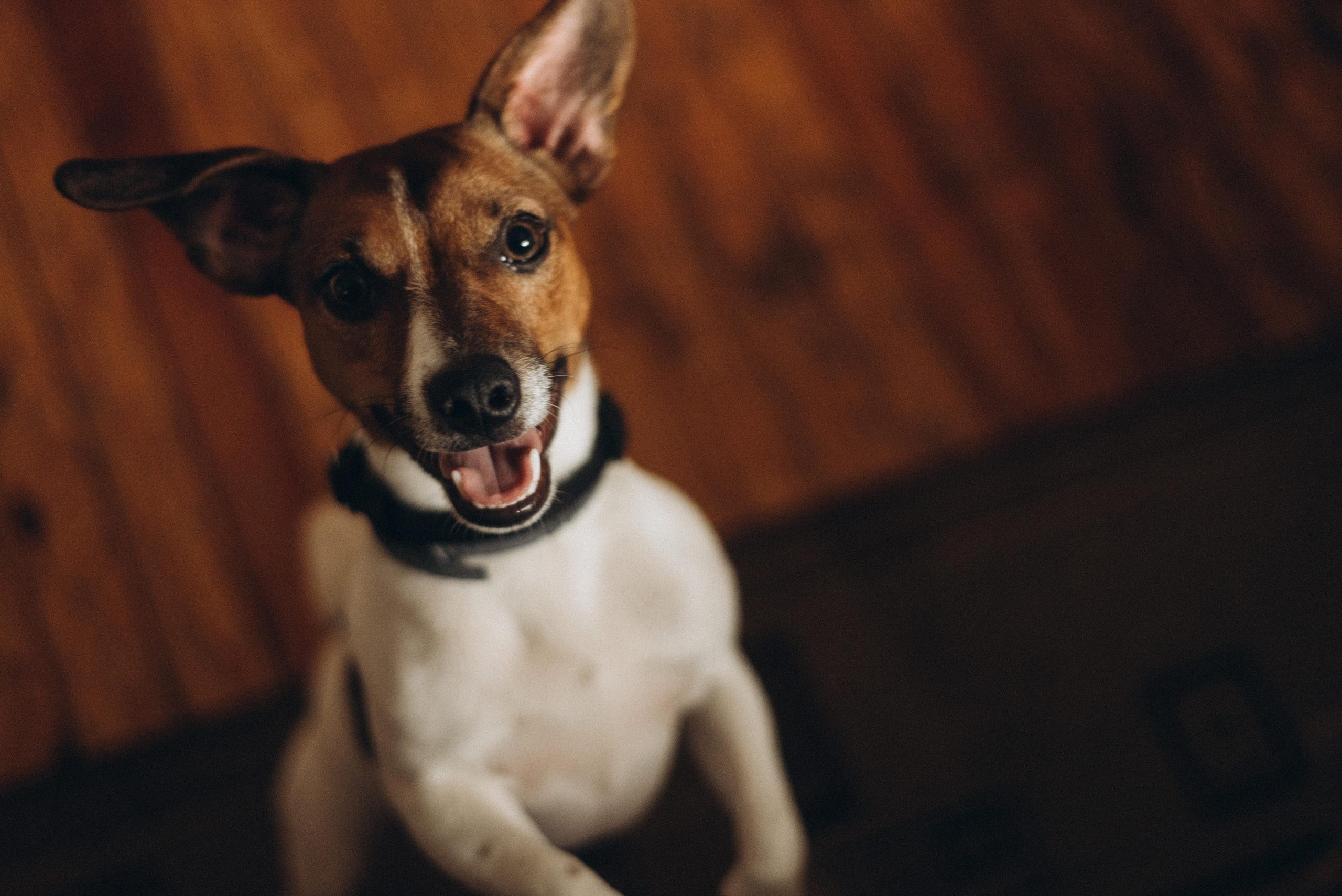 Andrey & Tanya love story. Фотографы Минск и мир