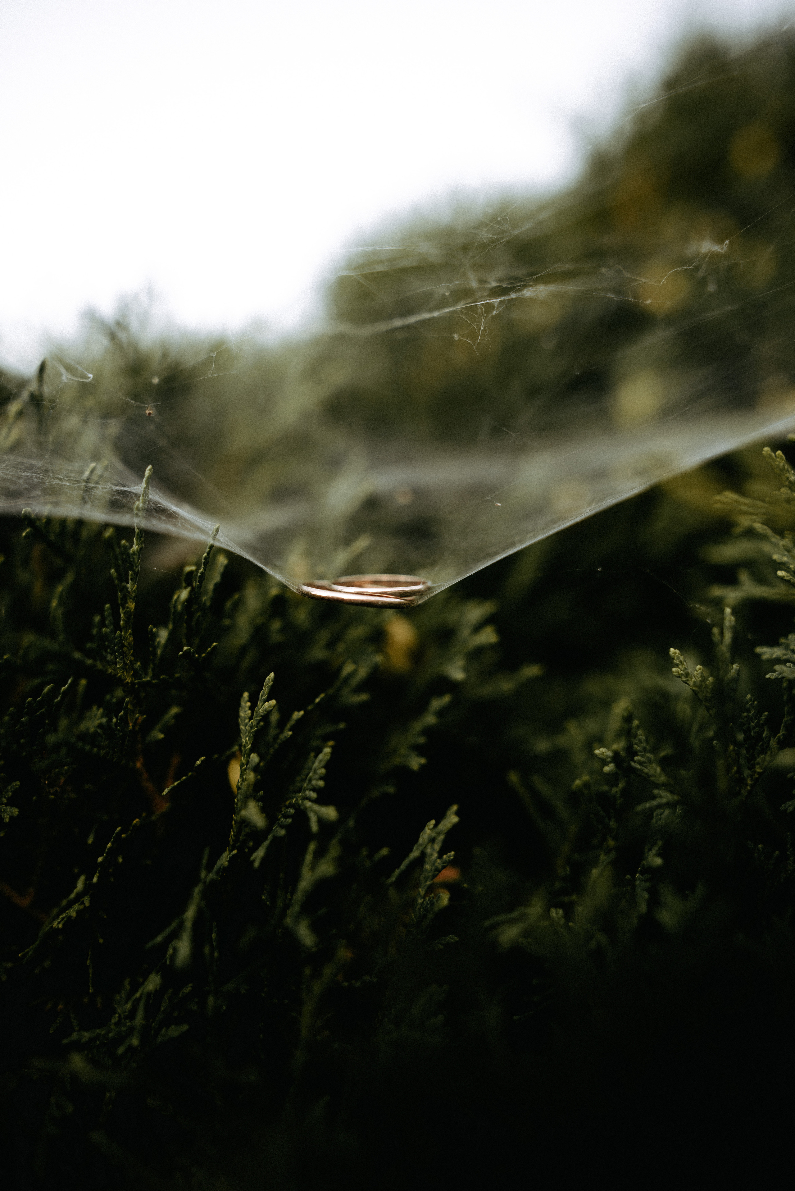 Alexandr & Victoria wedding day. Фотографы Минск и мир