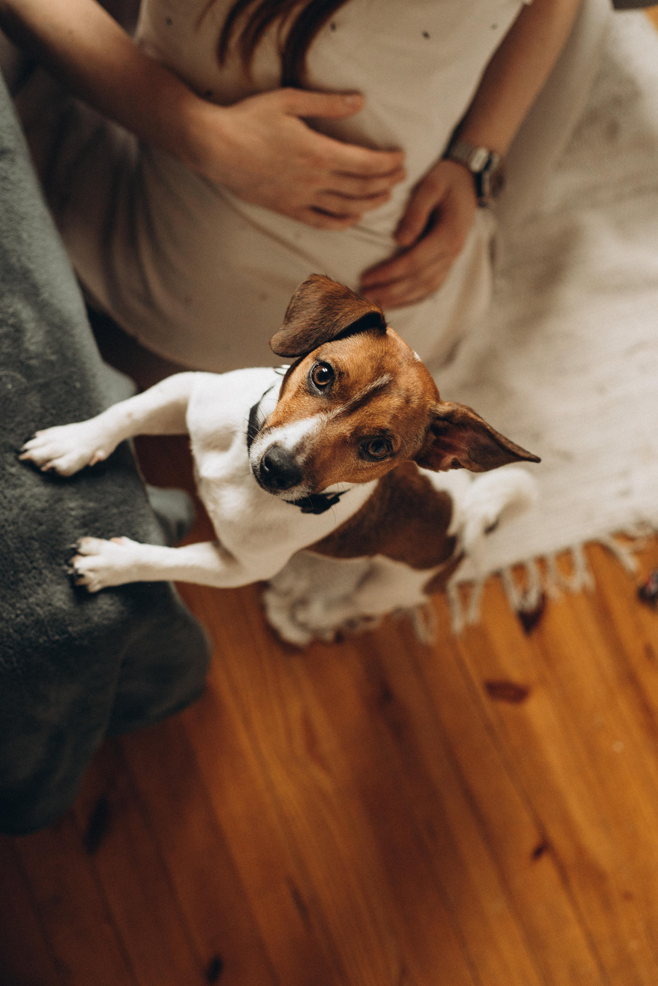 Andrey & Tanya love story. Фотографы Минск и мир