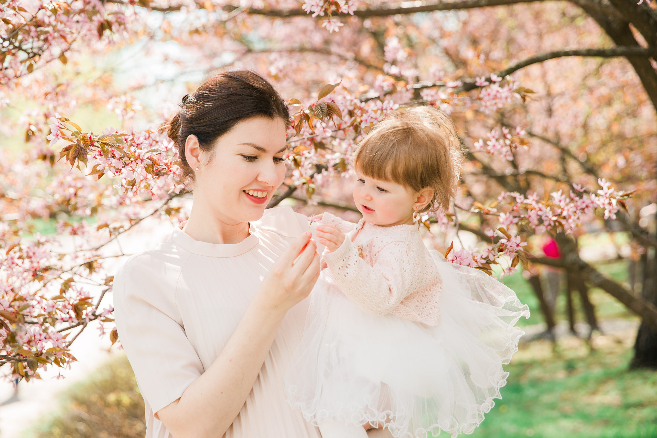 Lightroom presets
