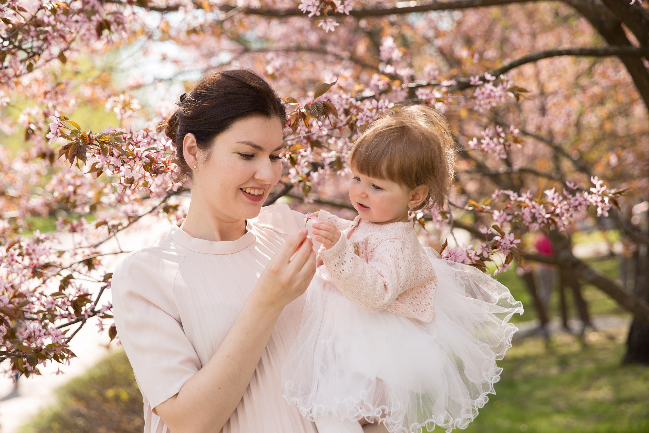 Lightroom presets