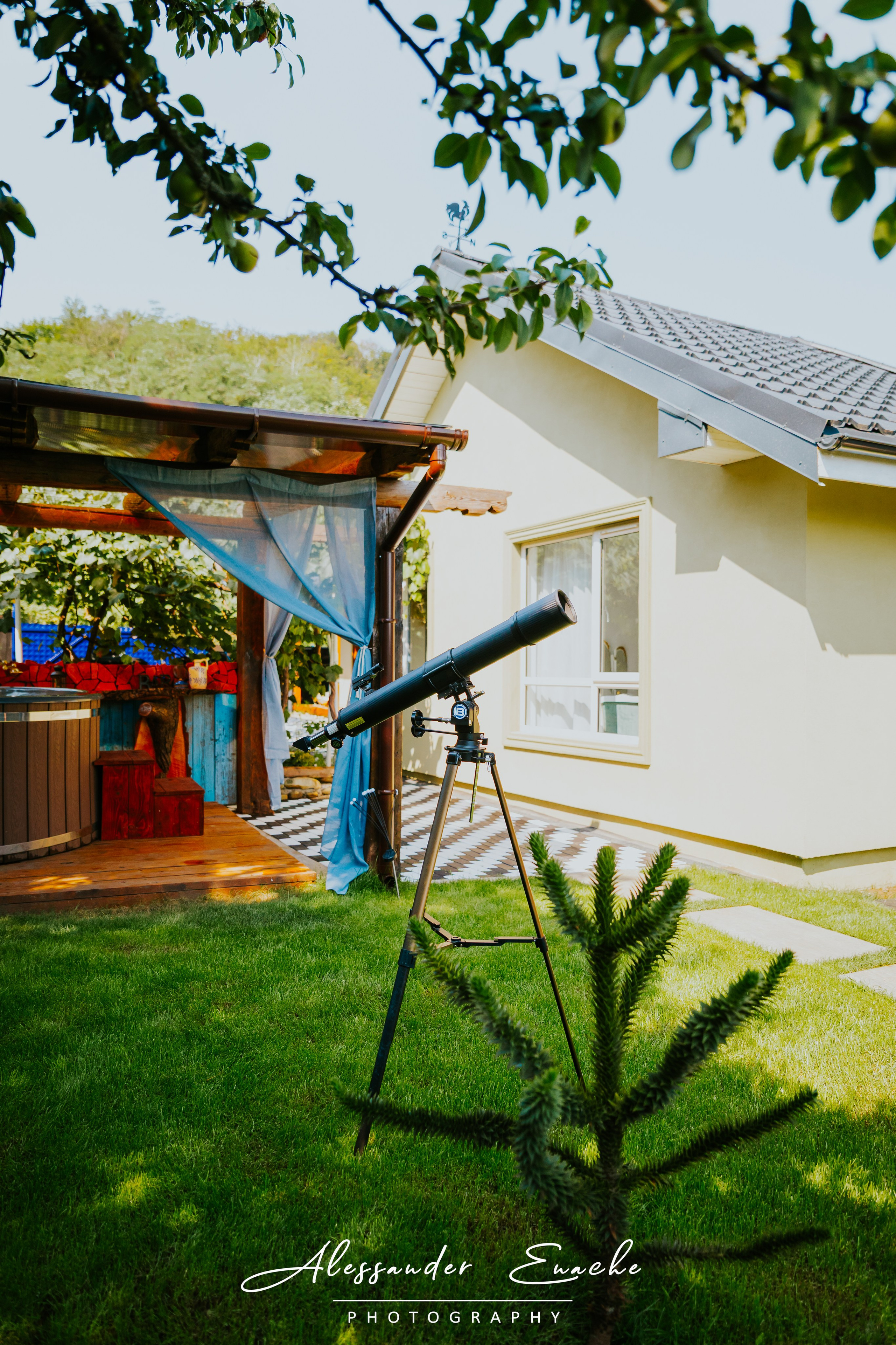 BĂRLOGUL URȘILOR. Fotograf prin #Piatraneamt-Alessander Enache