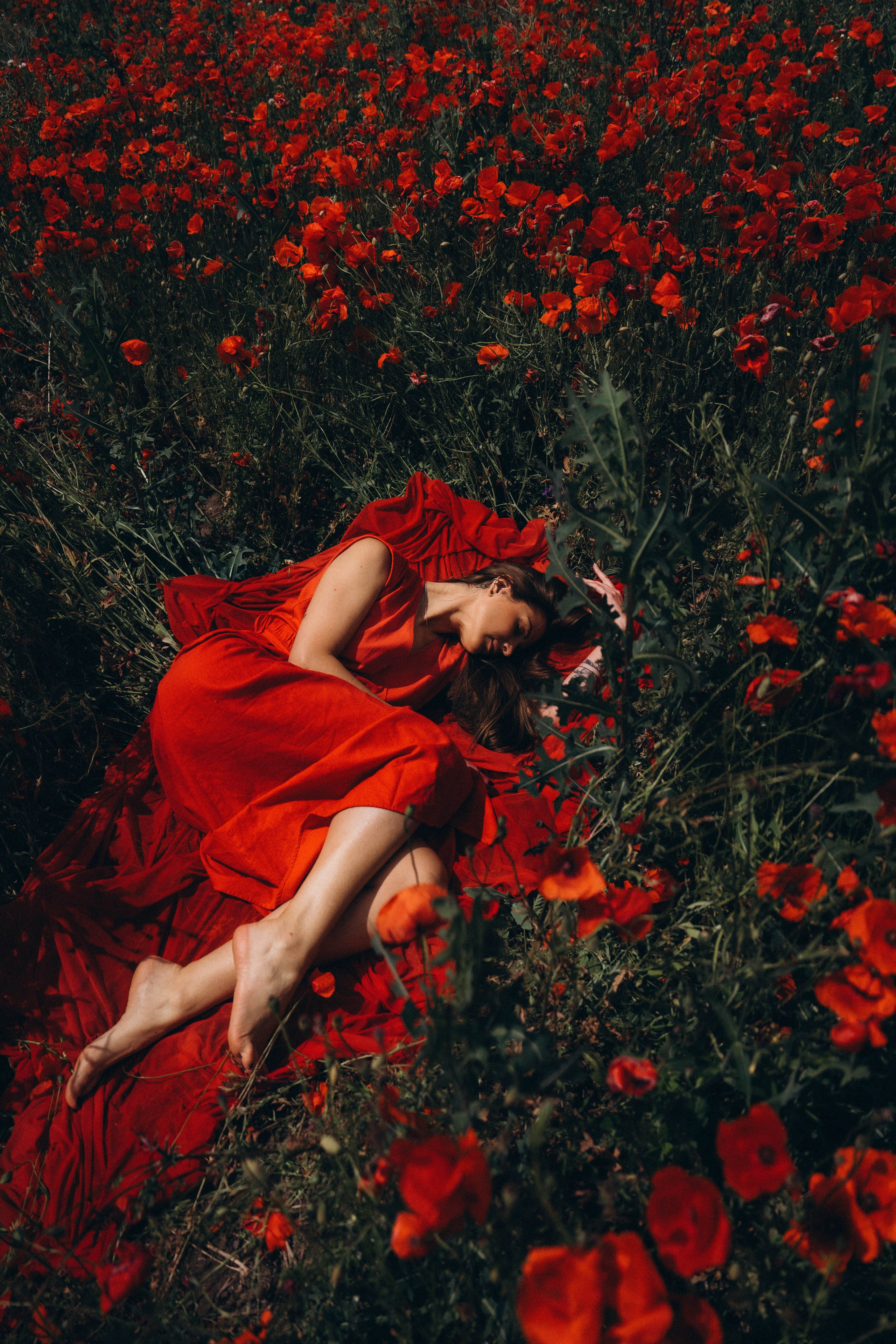 Mák. Fotograf Teplice // Alexandra Ribola