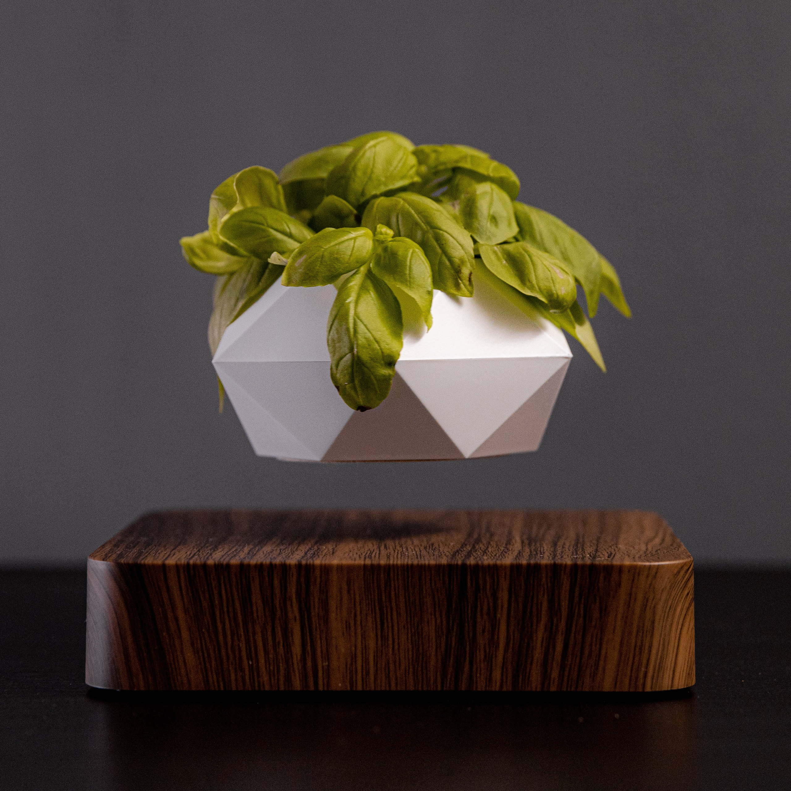 Produkt. Fotograf in Deutschland - Michael Baron