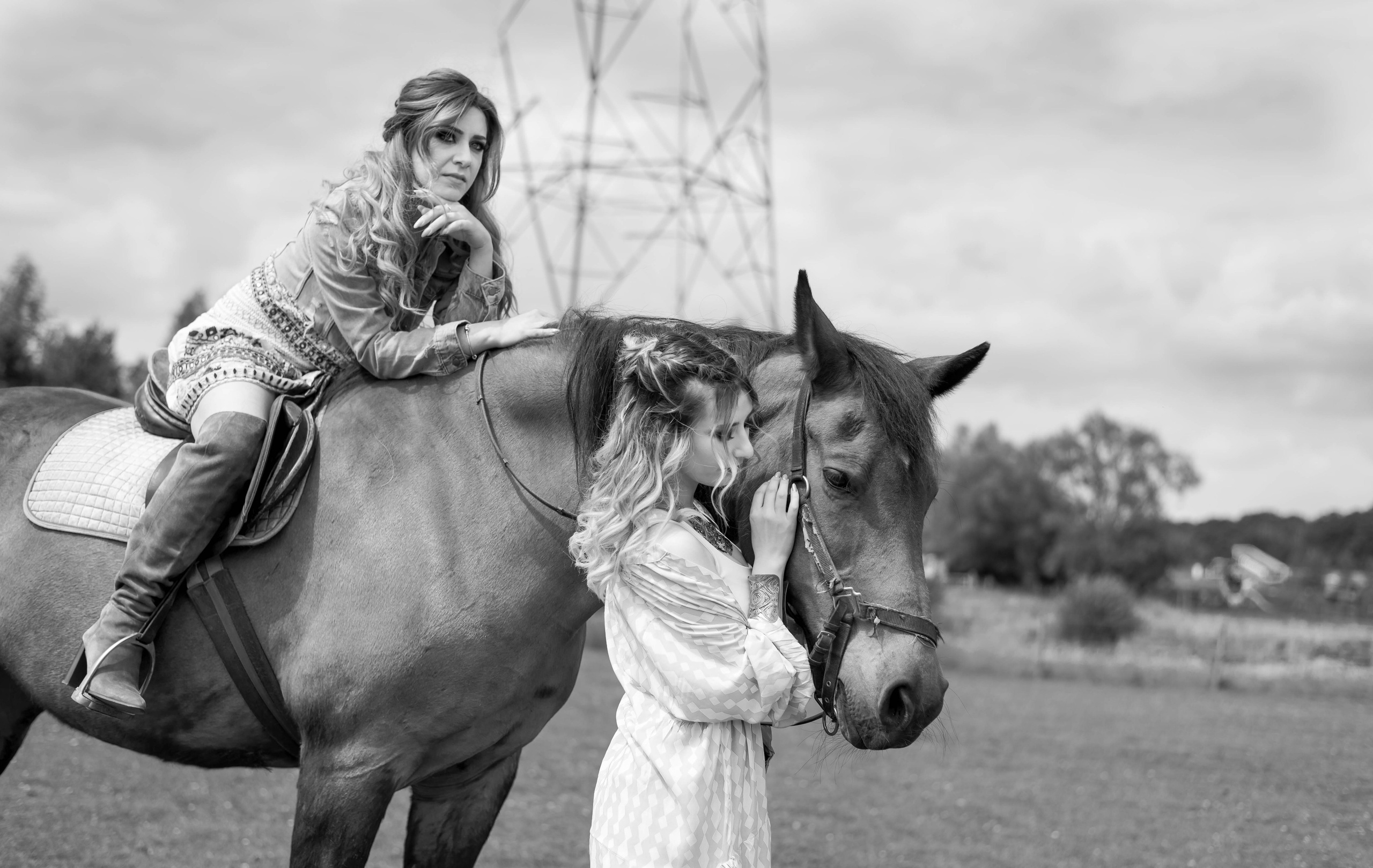 Photoshoot with Horses. Professional Photograher, Antwerpen/Belgium