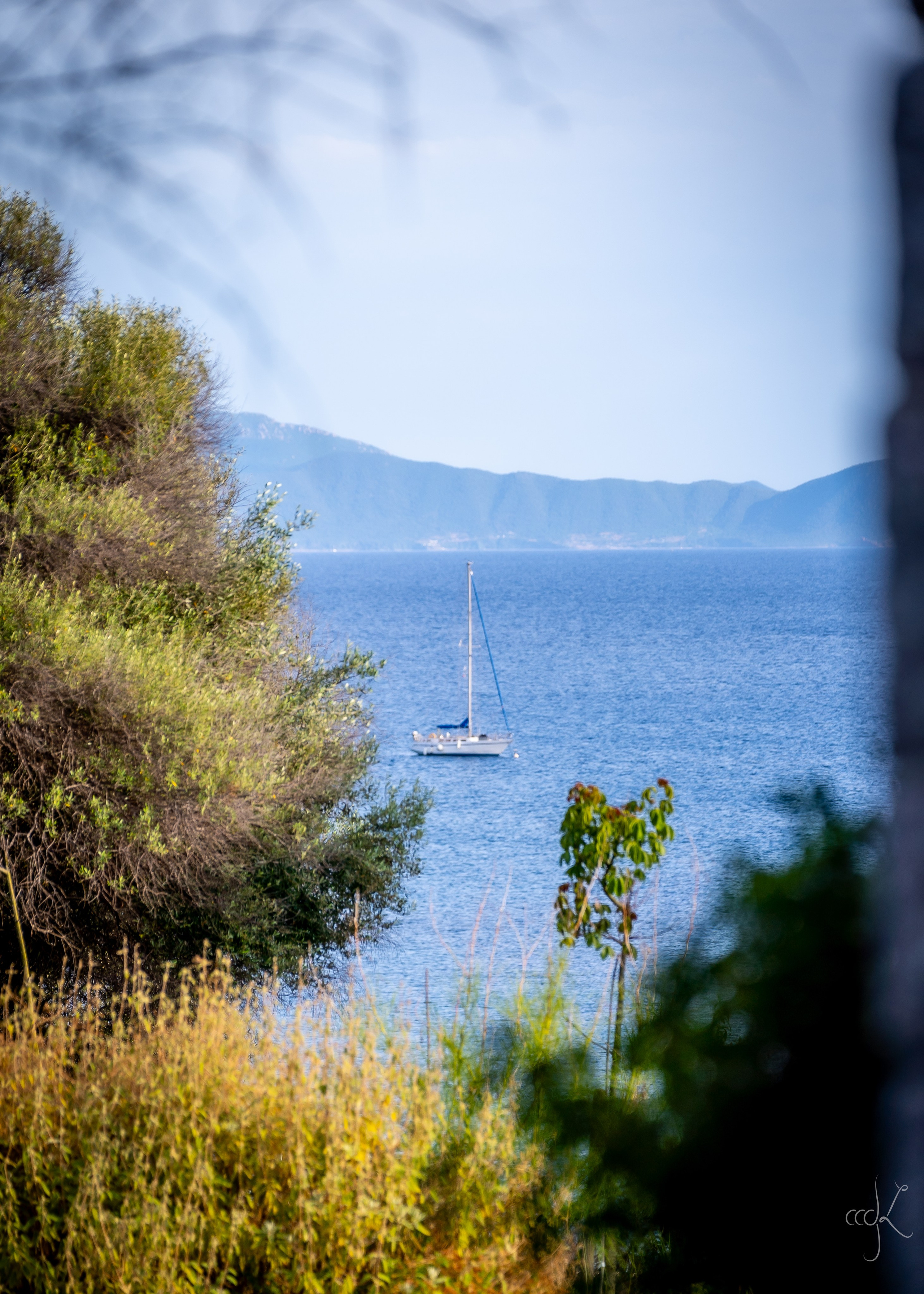 FLOWTIME: the 6th Cargèse summer school. Expect Miracles Photography by Kate & Andrew