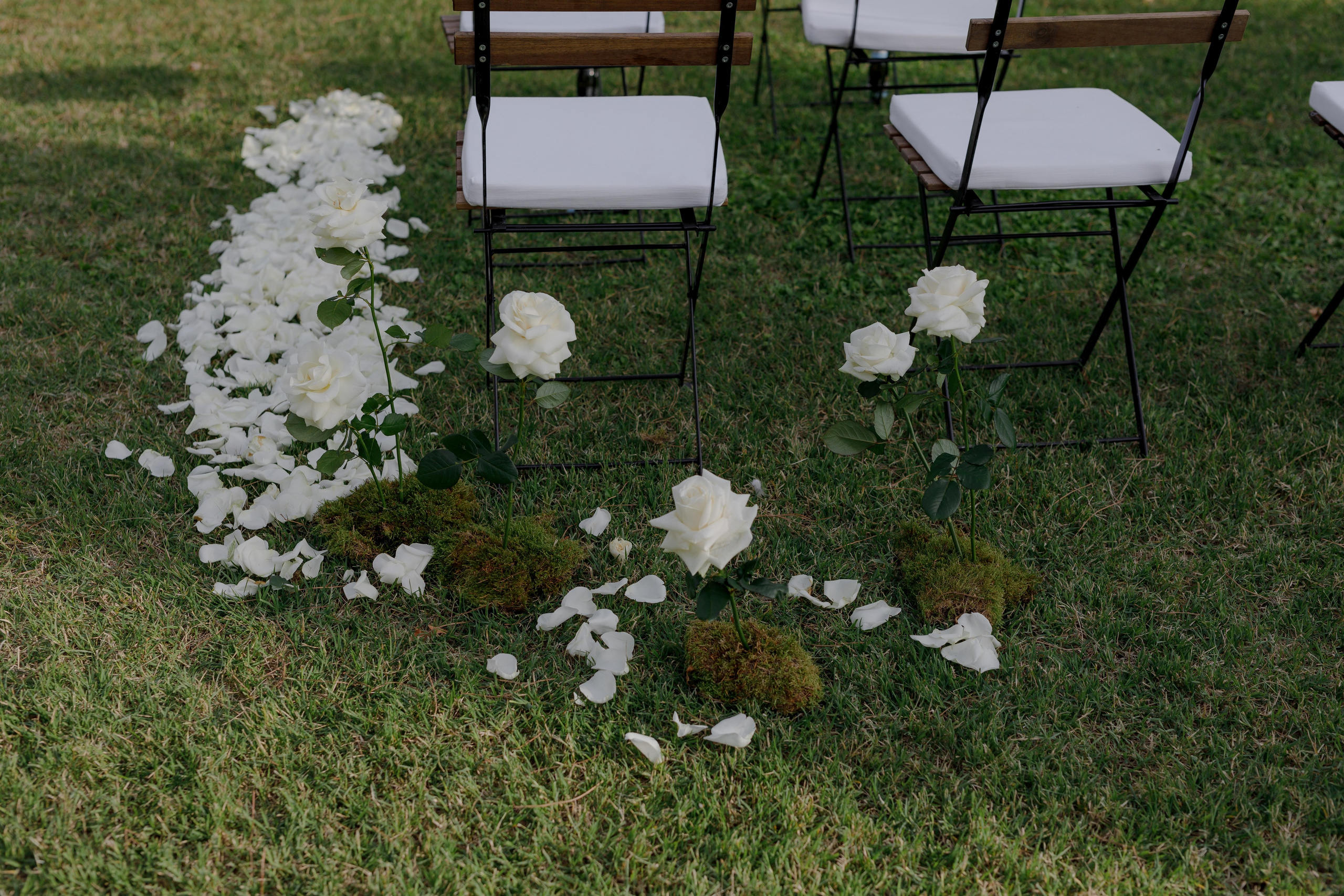 Dom&Ally. Wedding photographer Italy