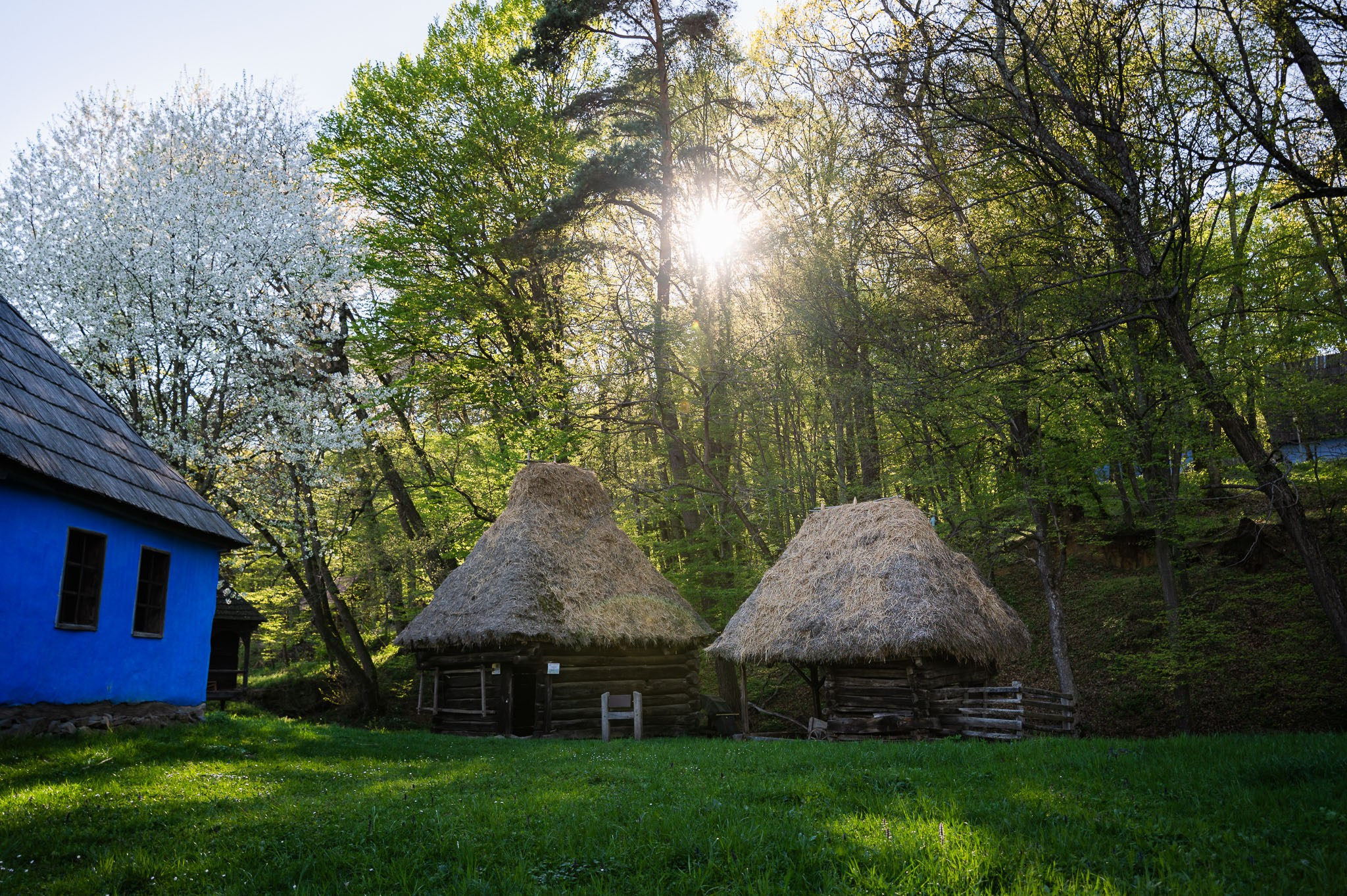 Sedinta love story Larisa&David