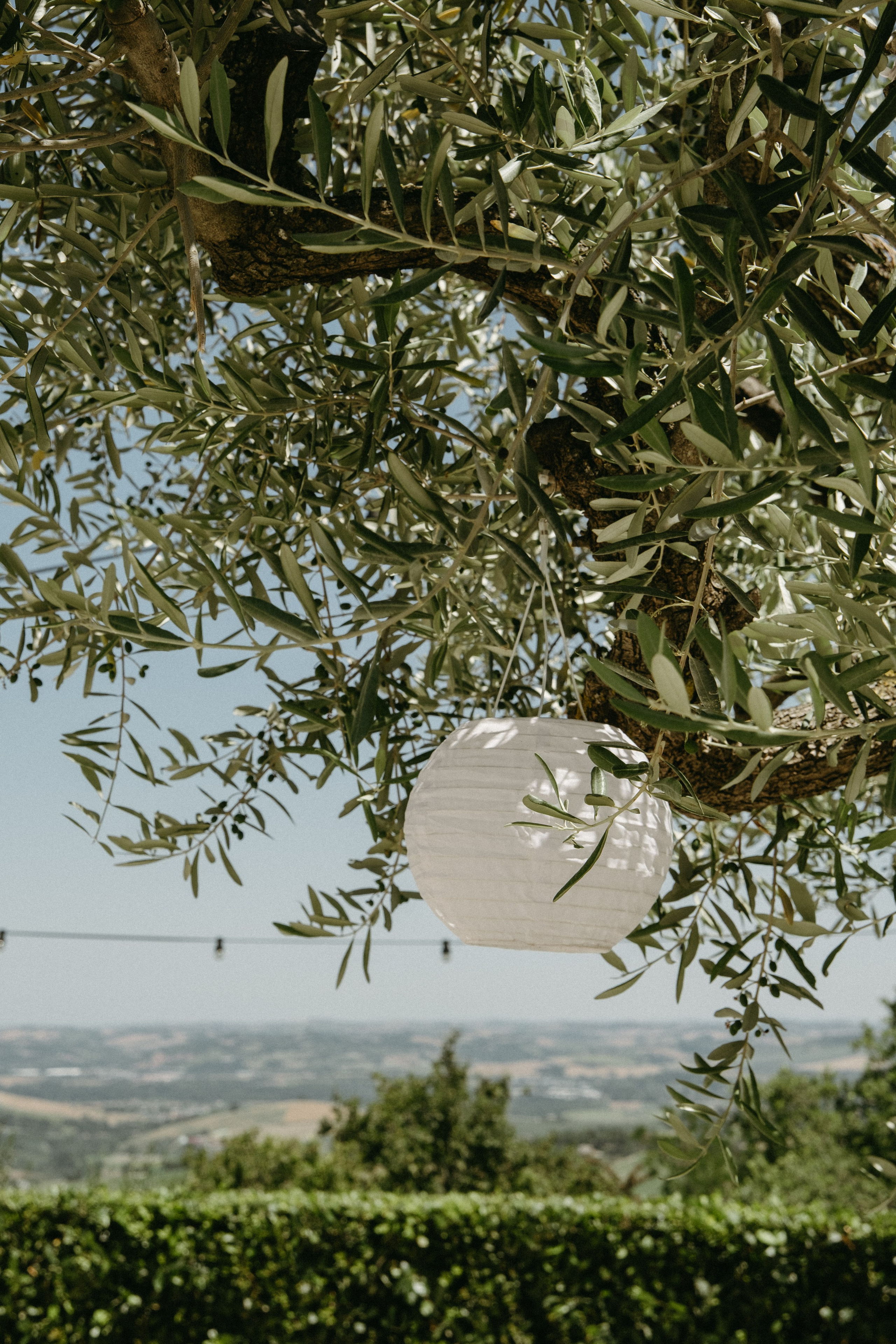 Sofia&Falk. Wedding photographer Italy