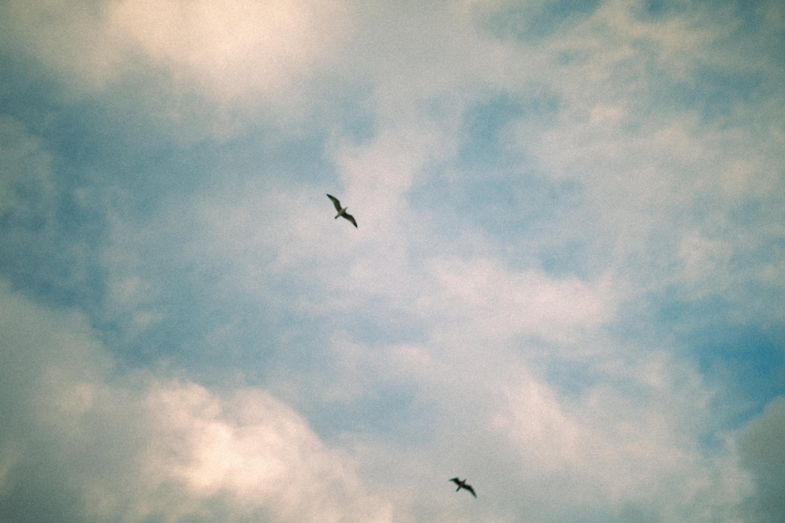 Photography trip to Porto with friends Sophie and Gia — authentic portraits and moments. Marina Kálcheva — Photographer, Videographer & Visual Artist in Barcelona