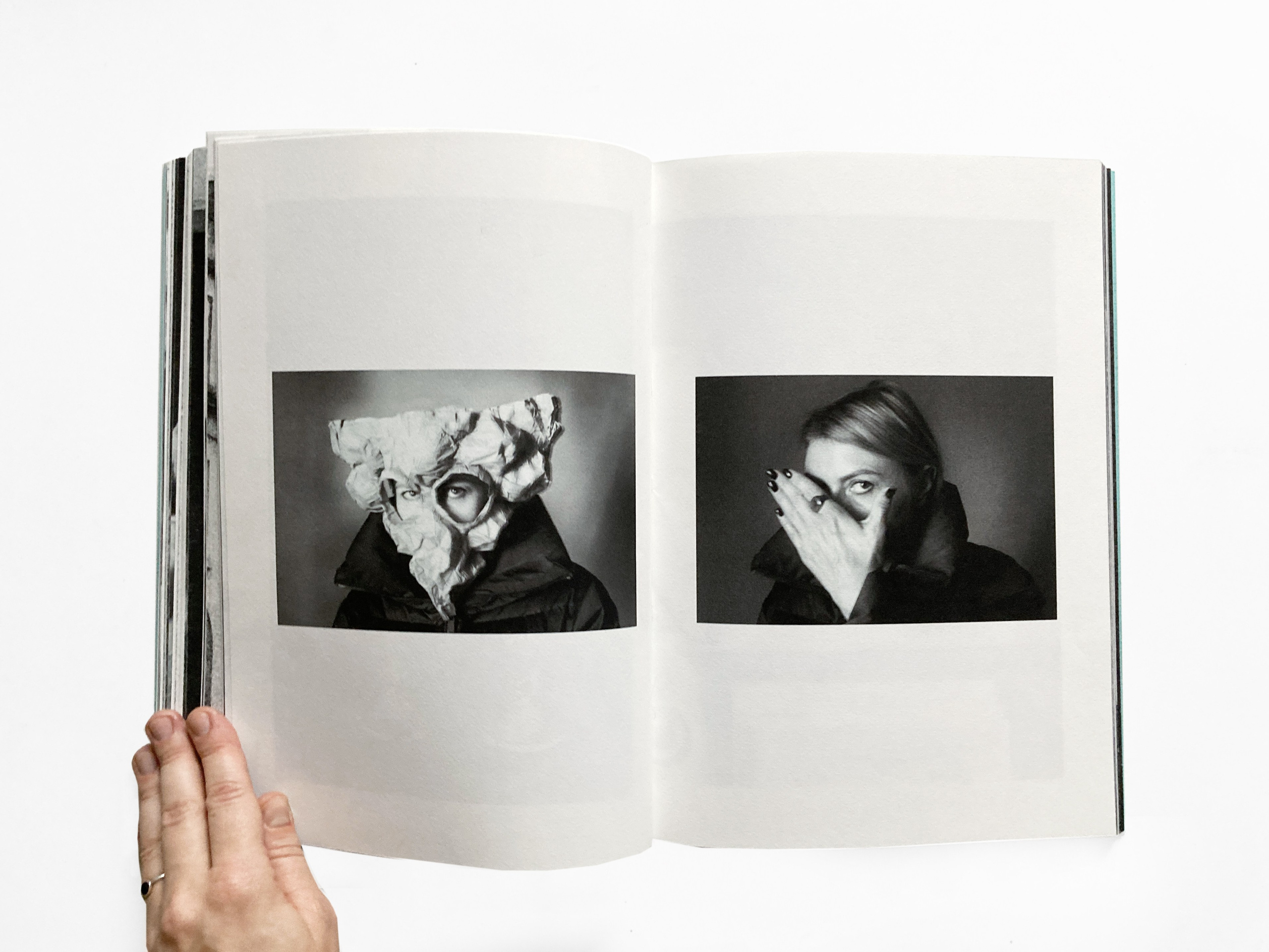 Fly in Amber. Sveta Kaverina