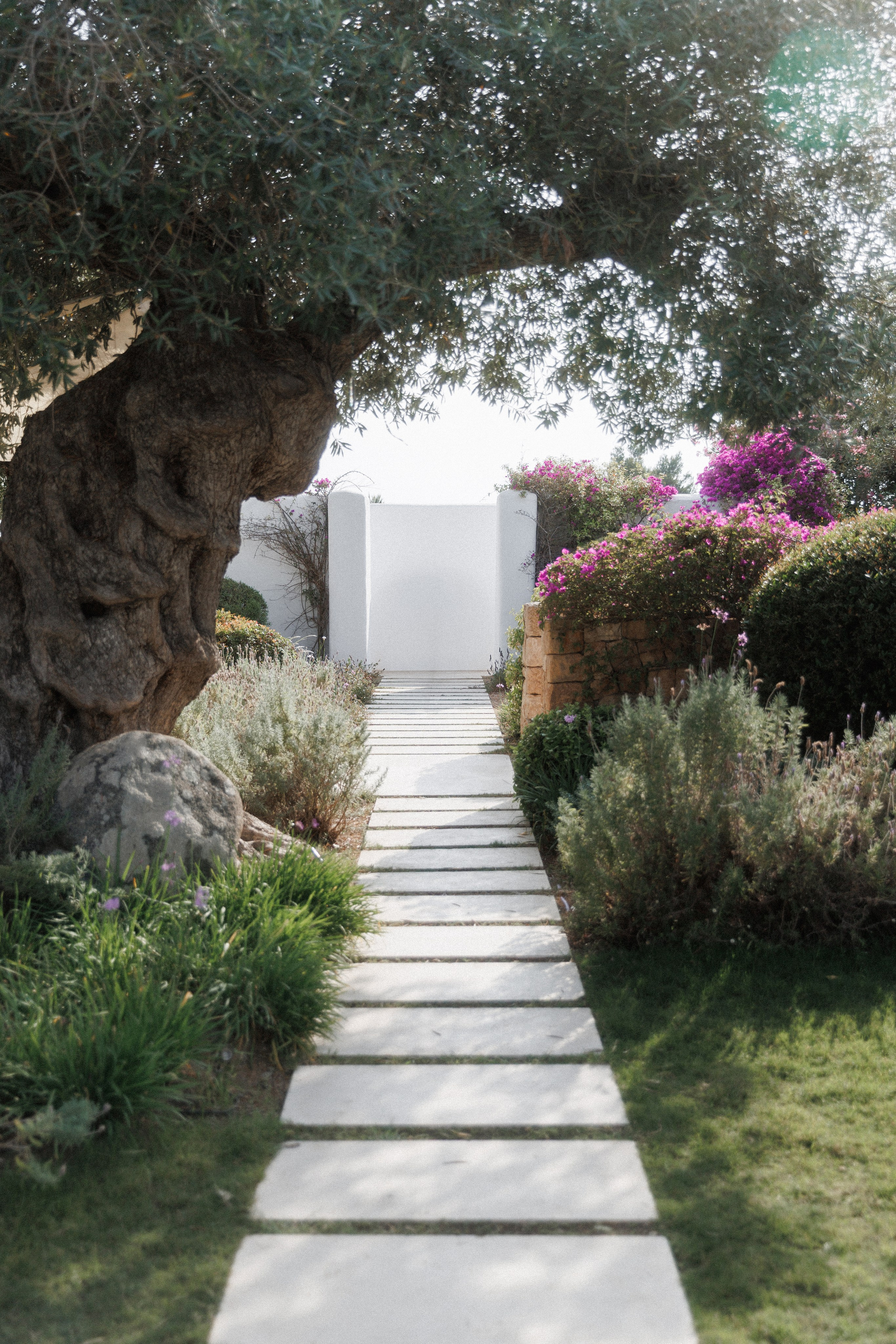 Camilla & Mirko. Sabina Ibiza. Paola fotógrafo / videografo de bodas en Barcelona