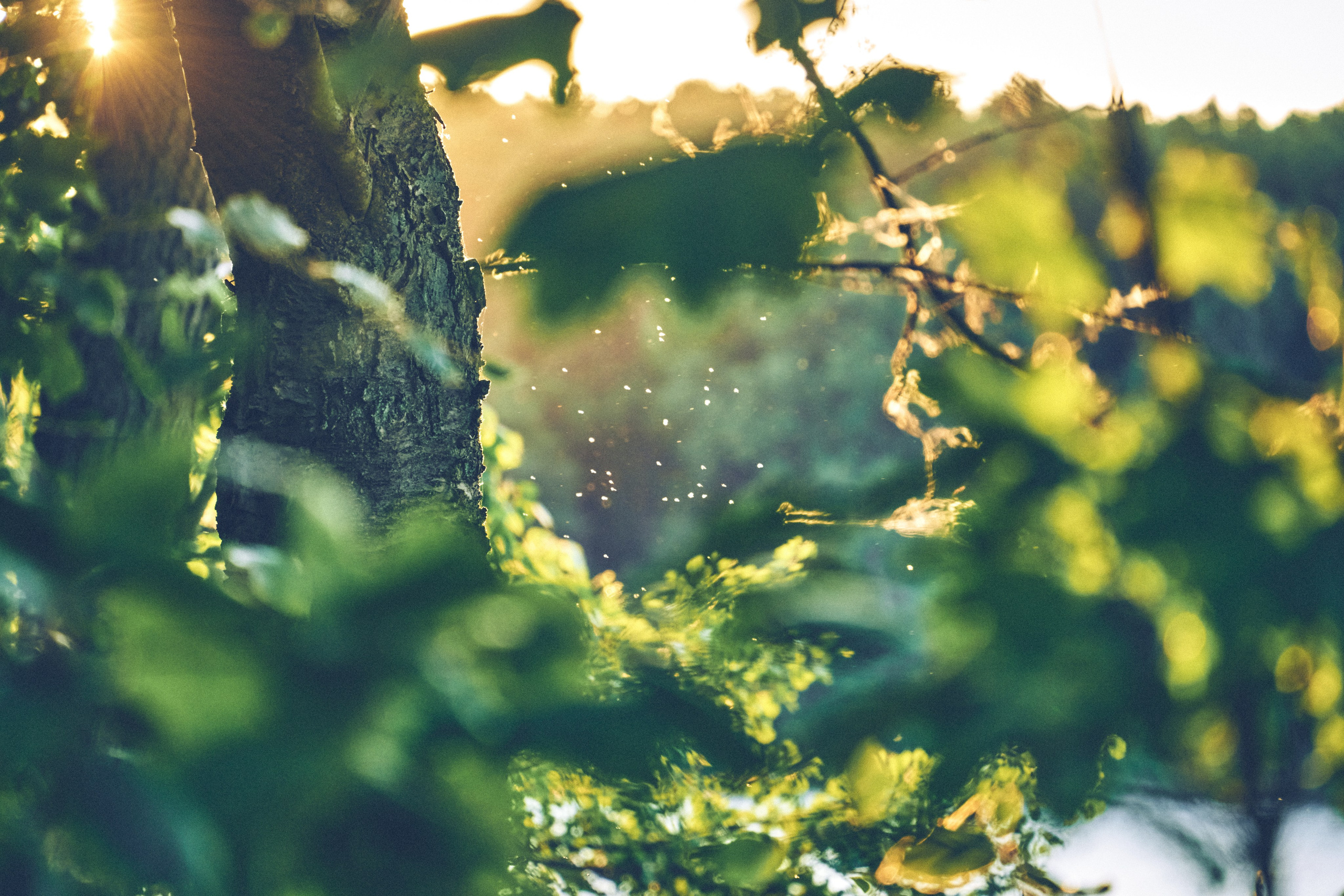 FRUN Freedom Universe - 2023 - Andriej Szypiłow. Andriej Szypilow - Fotografia & Wideografia