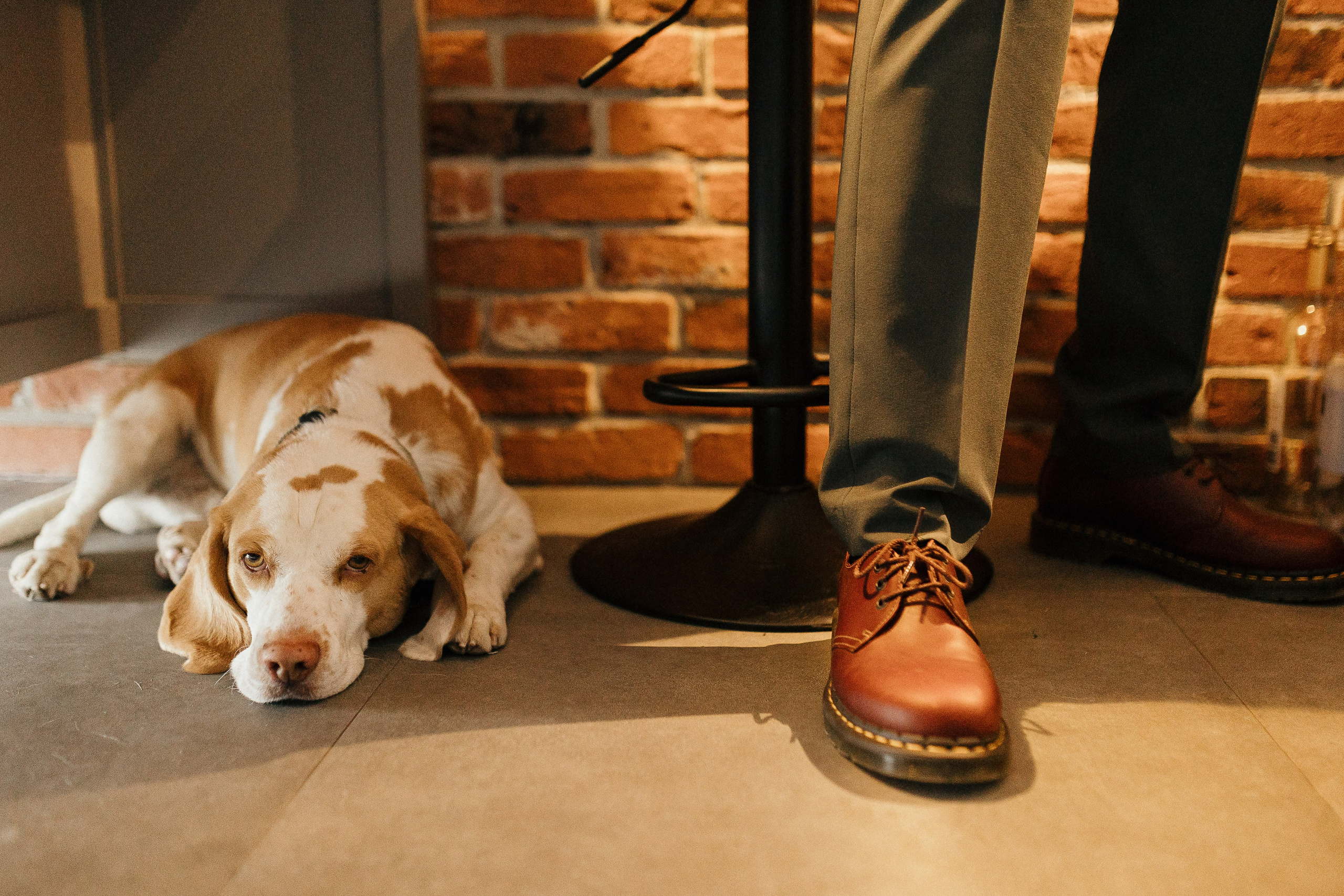 Baptism Zoe. Ionutdraganfoto.com
