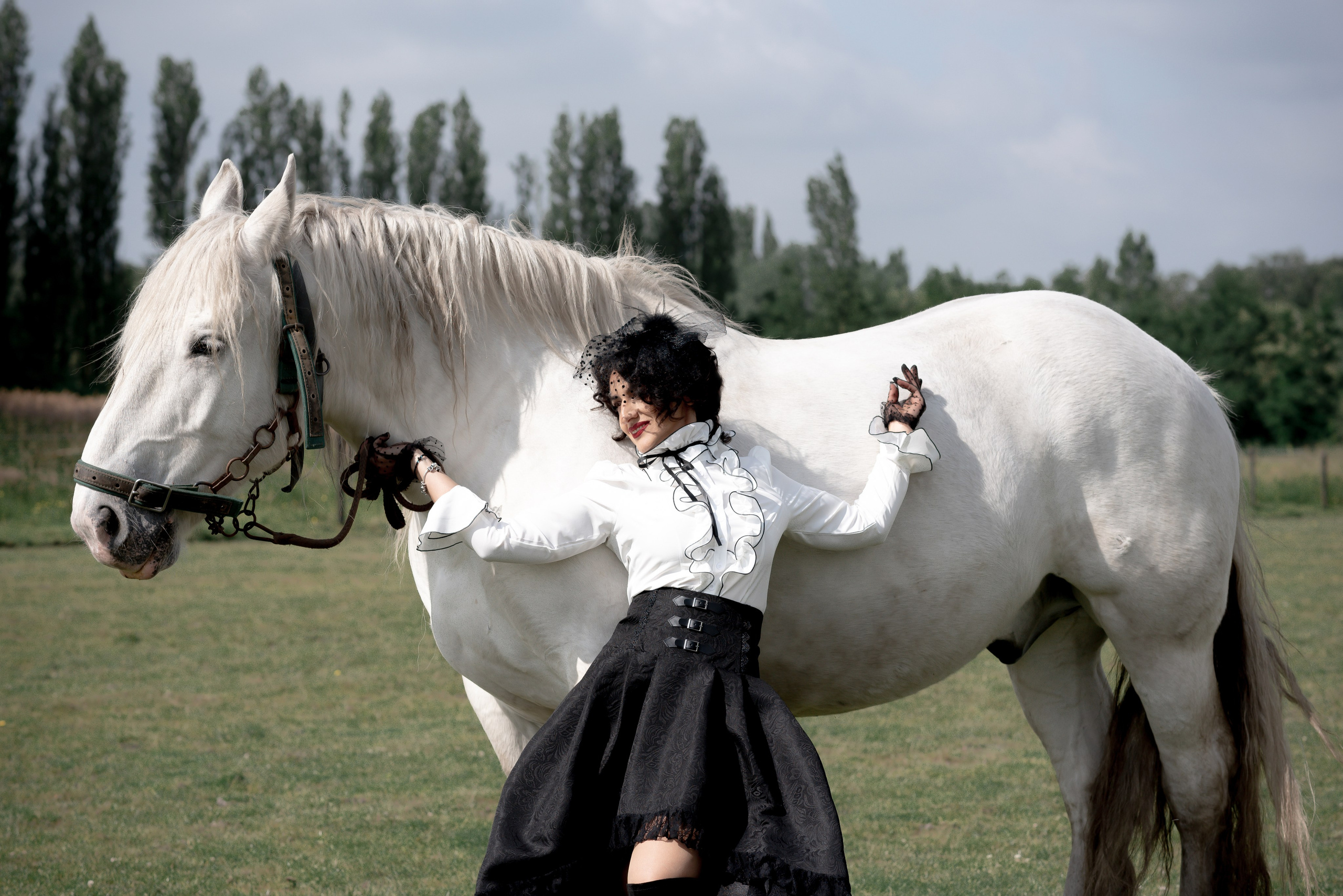 Photoshoot with Horses. Professional Photograher, Antwerpen/Belgium