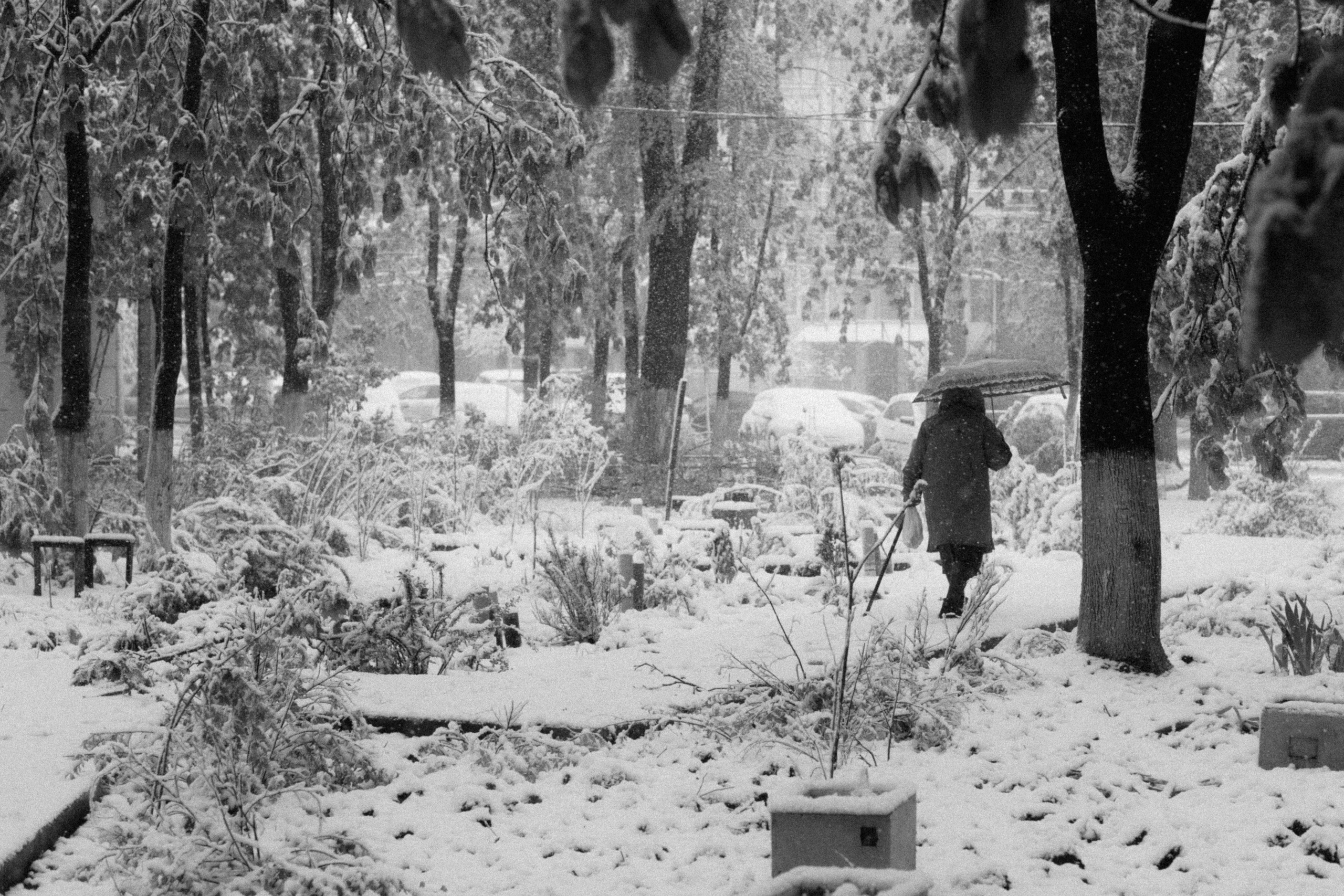 Мятая бумага лиц. Фотограф Андрей Друк