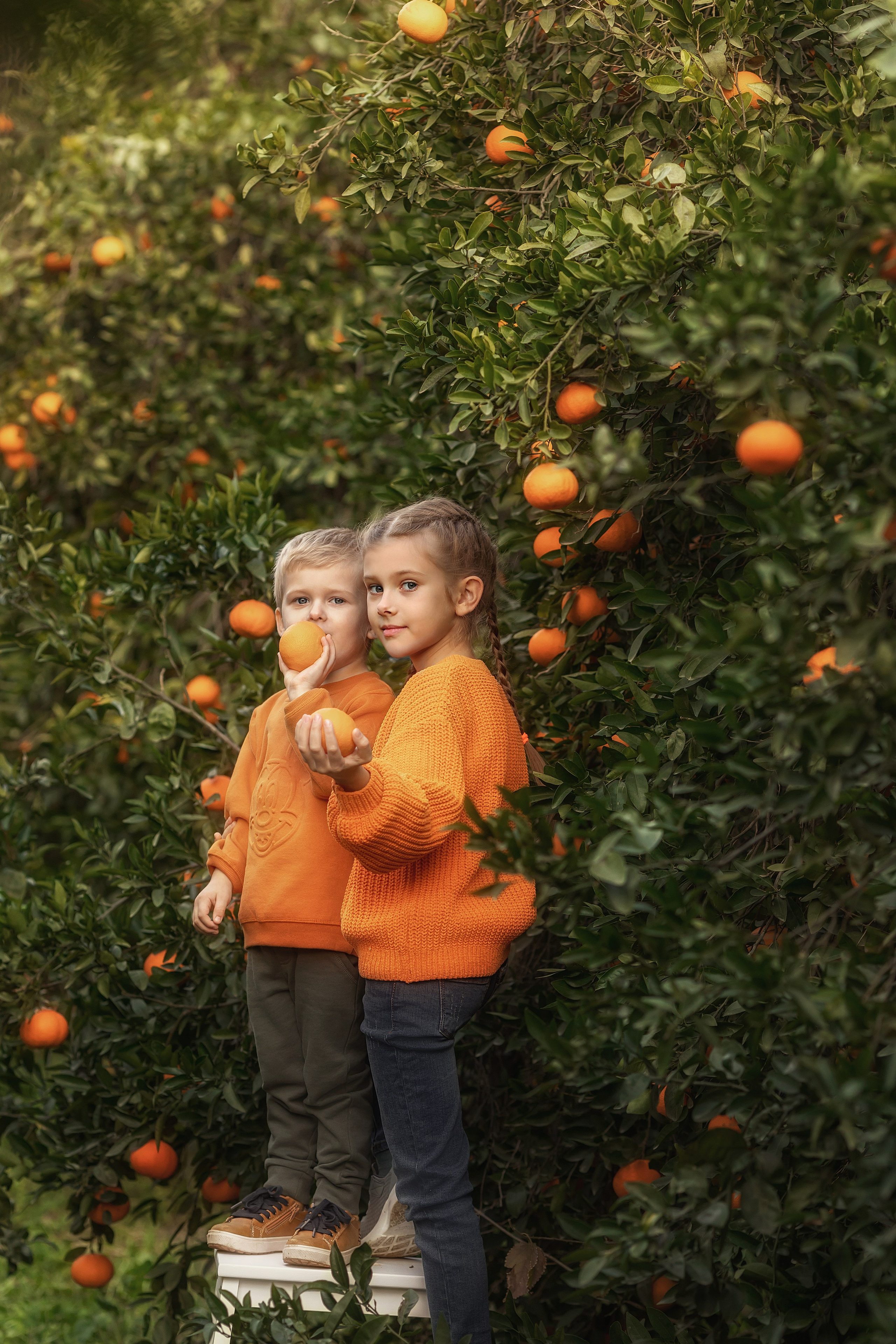 Семейная фотосессия. Фотограф на Кипре