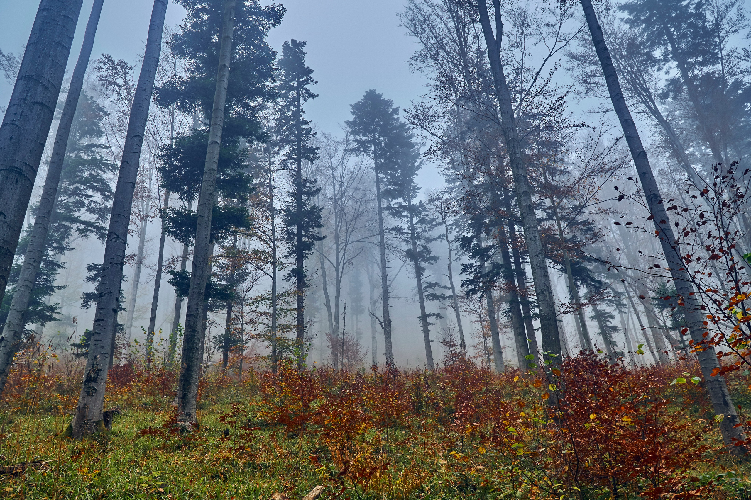Bieszczady - tu zatrzymuje się czas. Andriej Szypilow - Fotografia & Wideografia