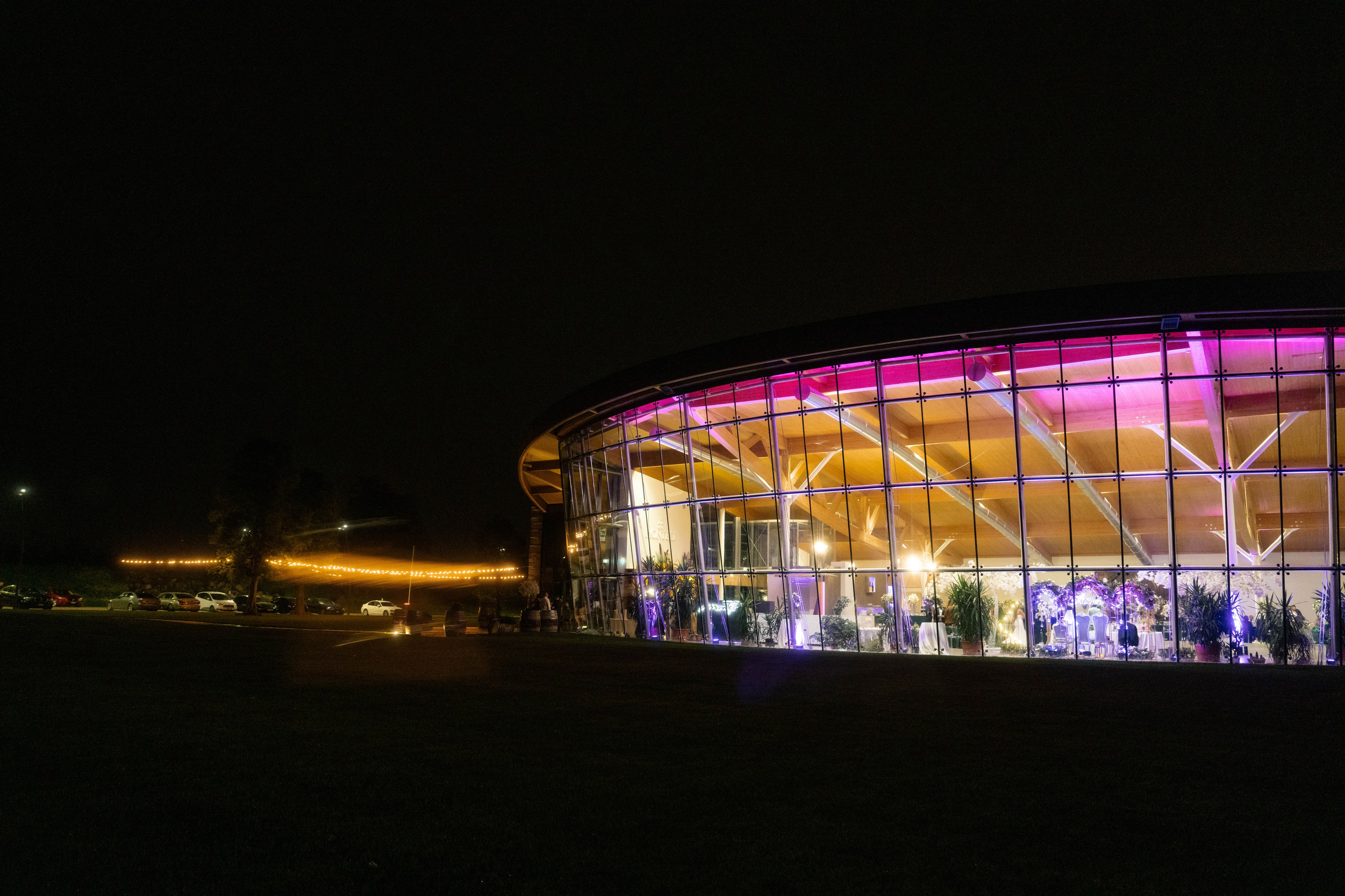 An Evening of Elegance and Extraordinary Performances. Ioana Timis