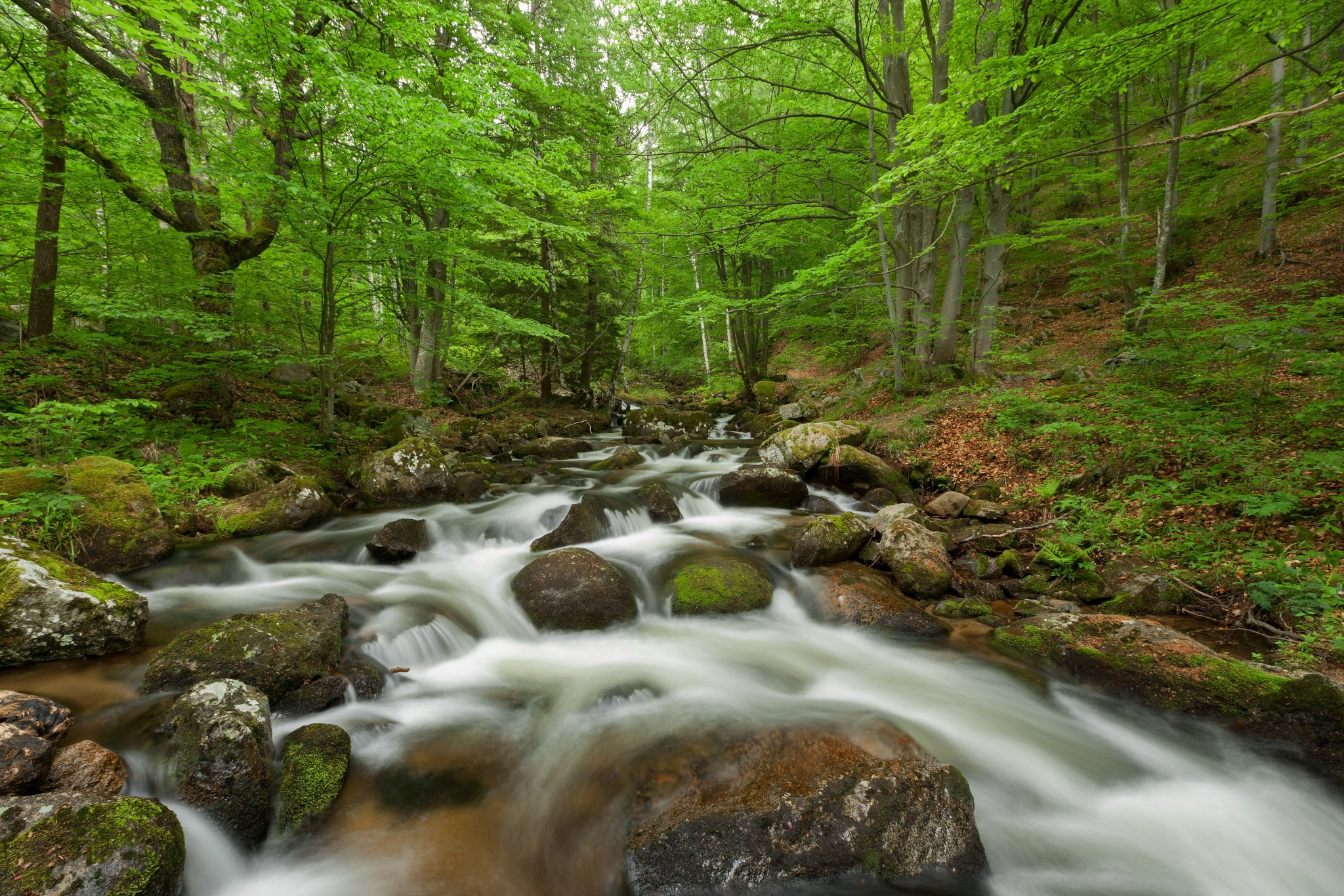 Планини. Александър Сандев - личен сайт на фотографа