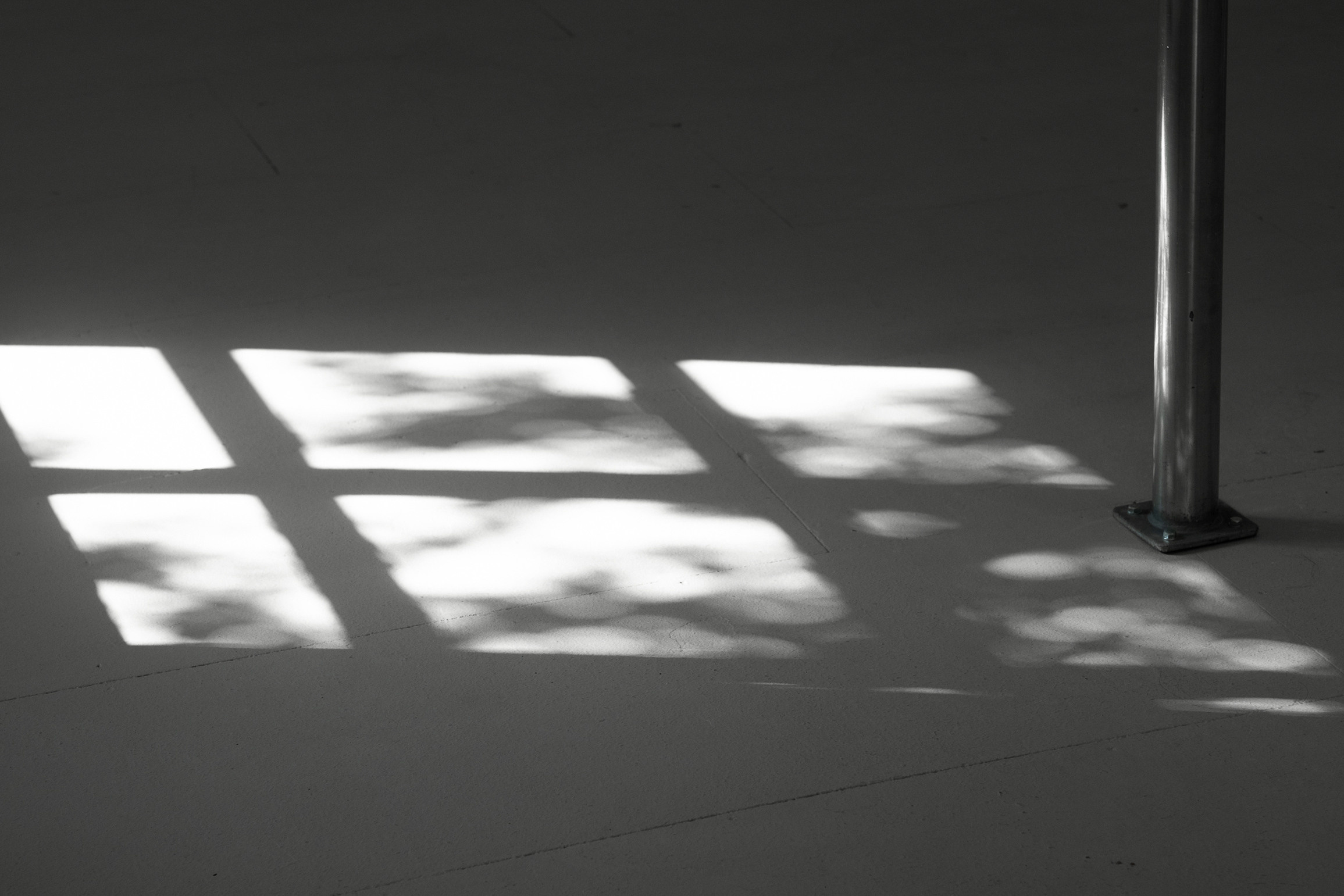 Mariona Berenguer. Newborn Baby Fotografie Flensburg Babyfotoshooting