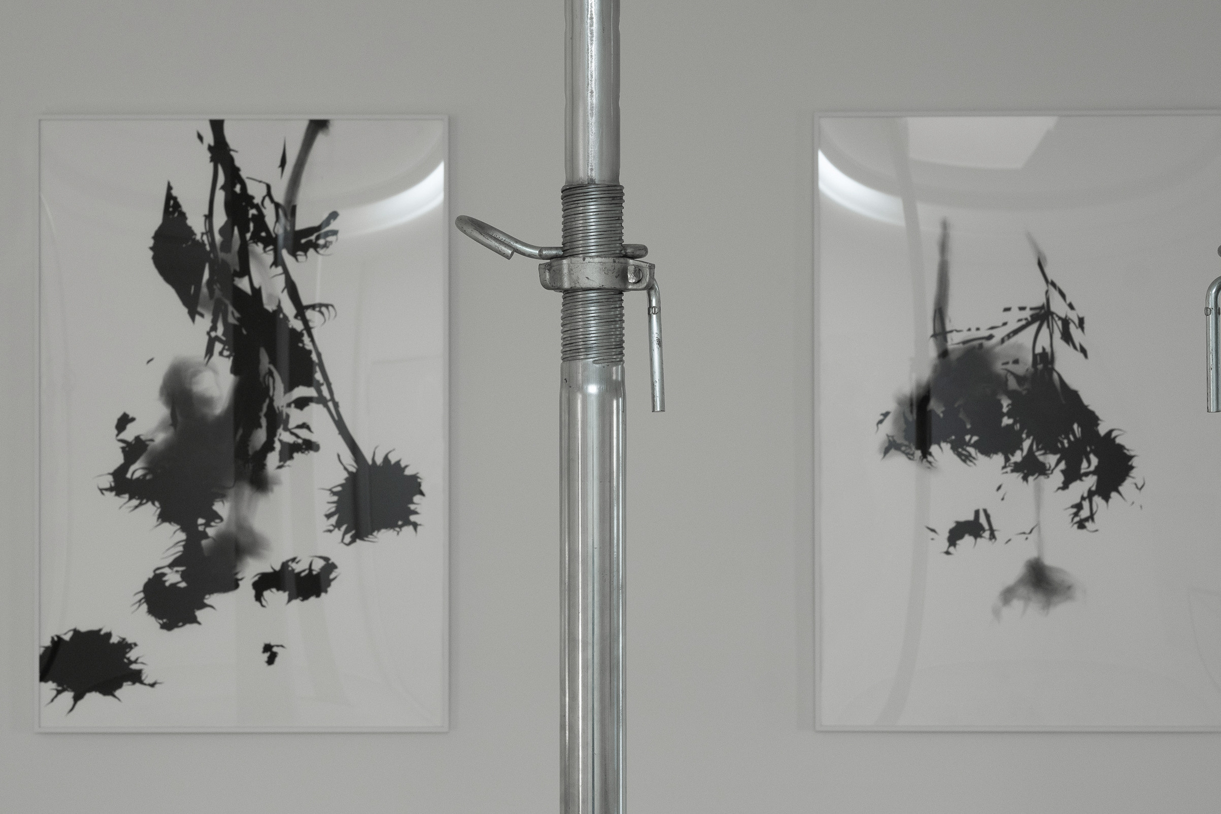 Mariona Berenguer. Newborn Baby Fotografie Flensburg Babyfotoshooting