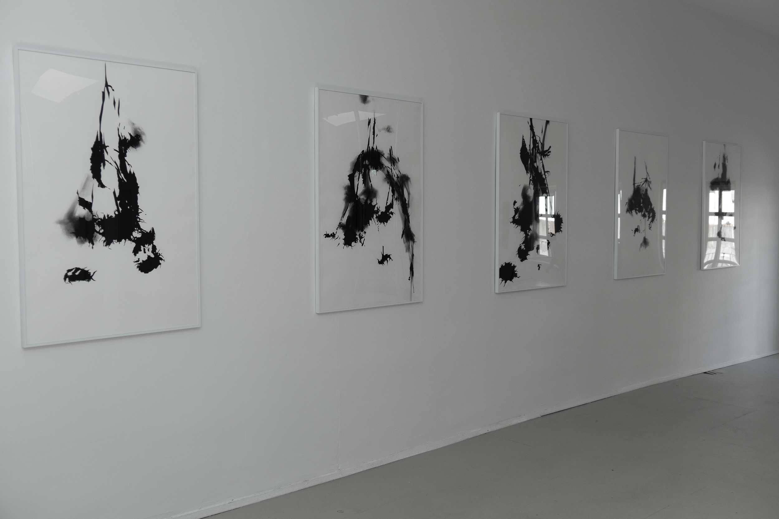 Mariona Berenguer. Newborn Baby Fotografie Flensburg Babyfotoshooting