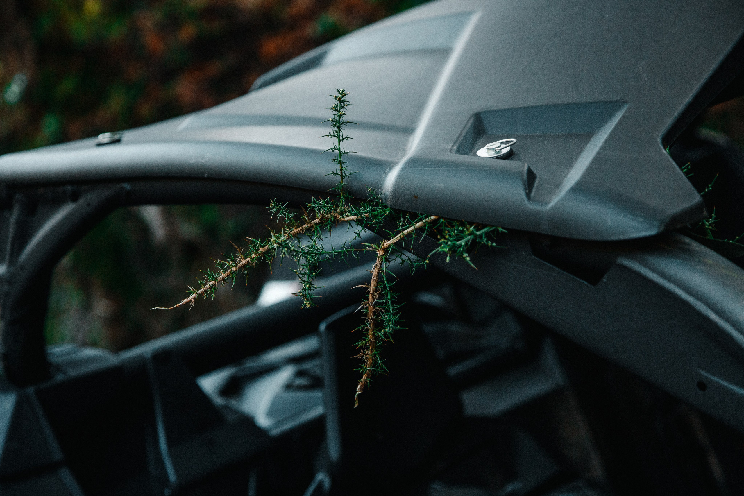 Reportage sport. Wedding photographer and videographer Europe