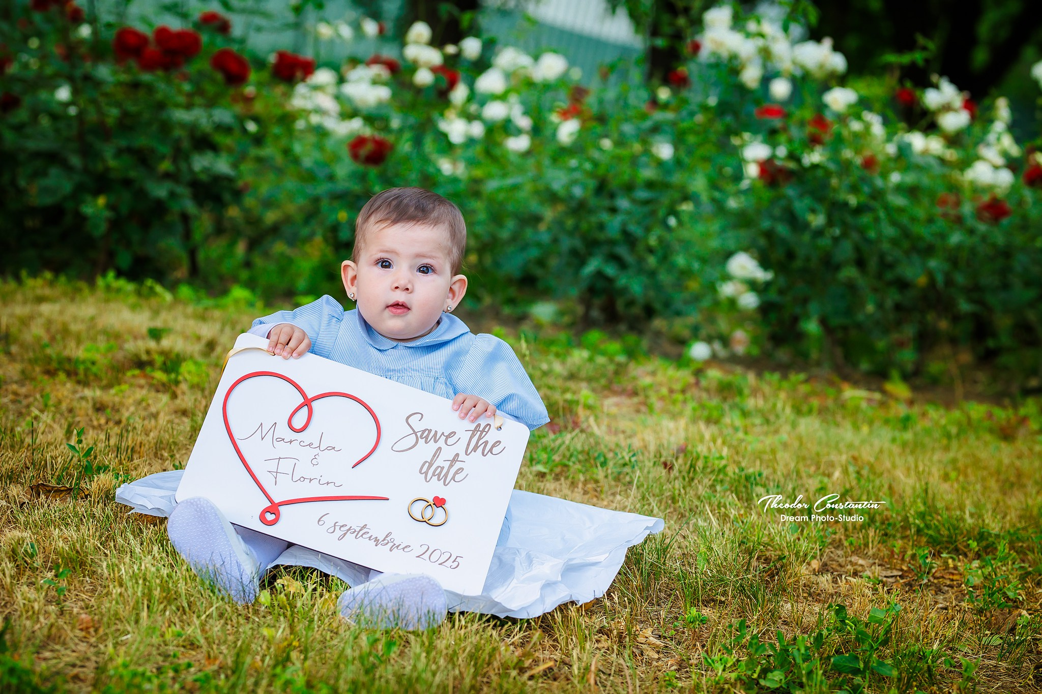 PreWedding. Dream Studio Galați – ședințe foto profesionale pentru familie, portrete și evenimente