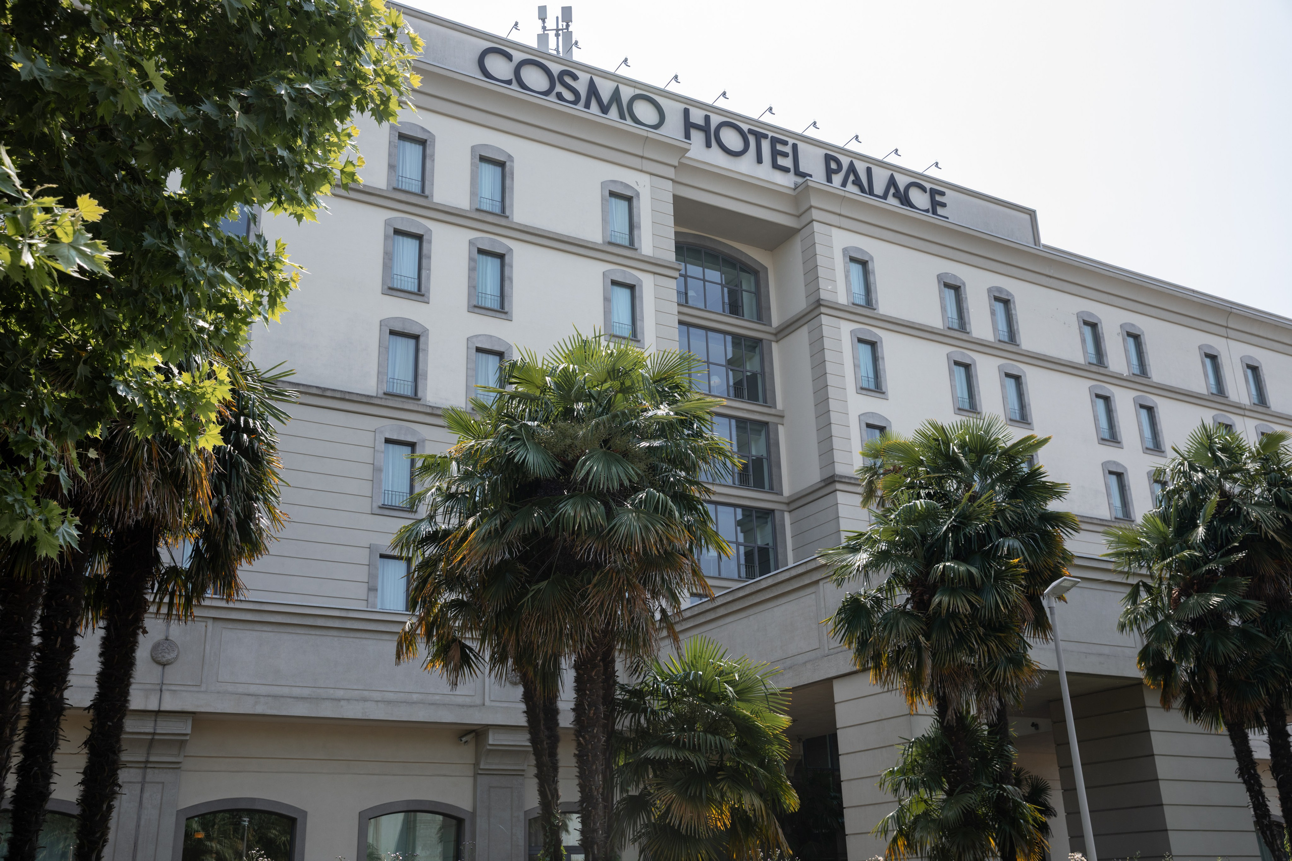 Reverans 2025. Photographer in Milan |Mila Pro Photo