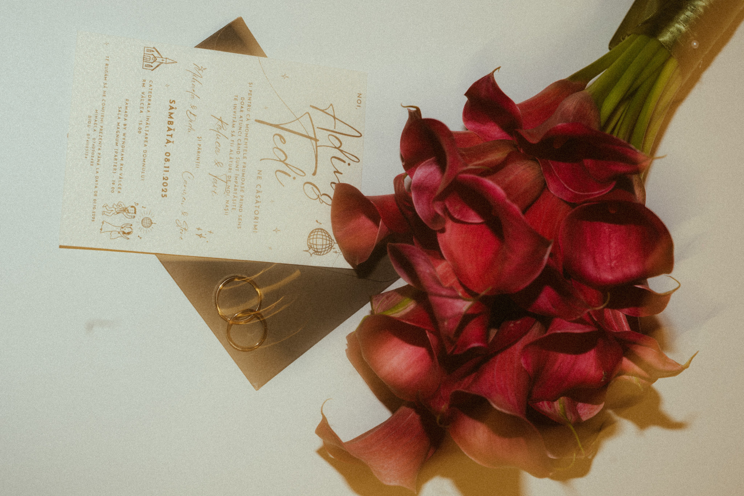 Adina - Tedi | Ramnicu Valcea