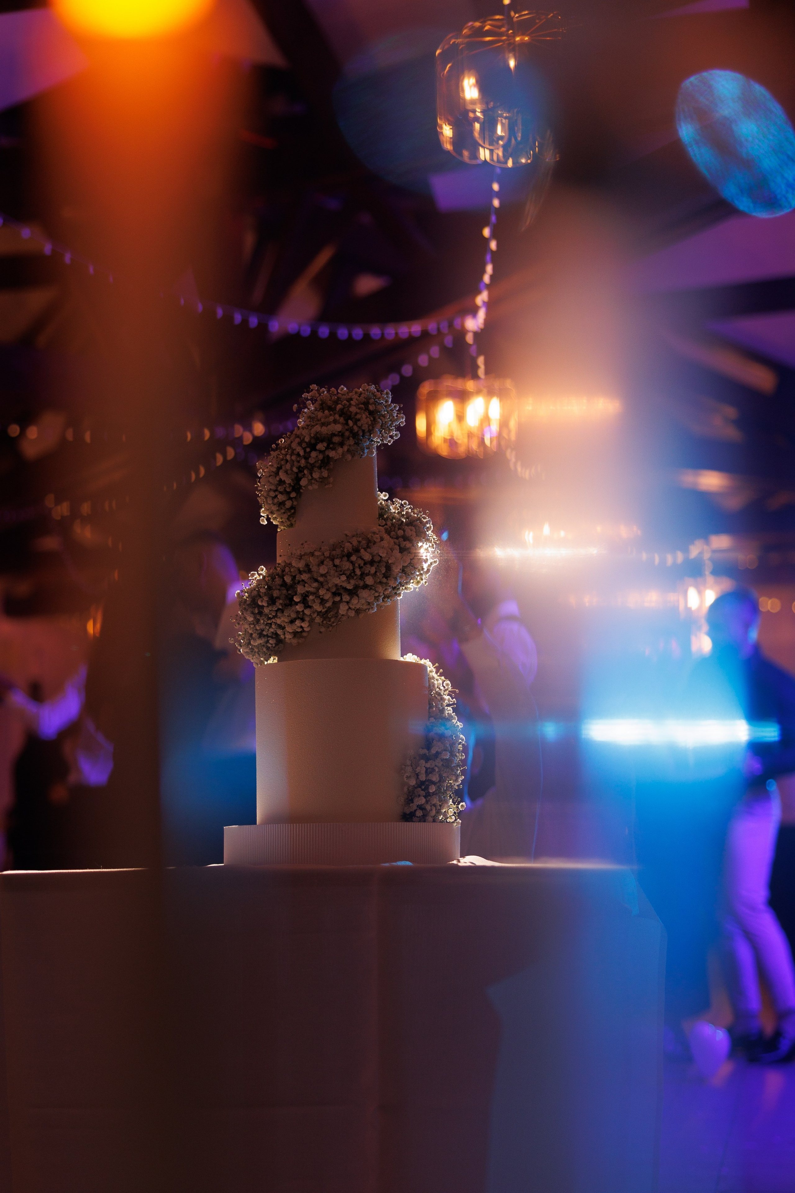 Pavillon Henri IV  Ionela & Vitalie