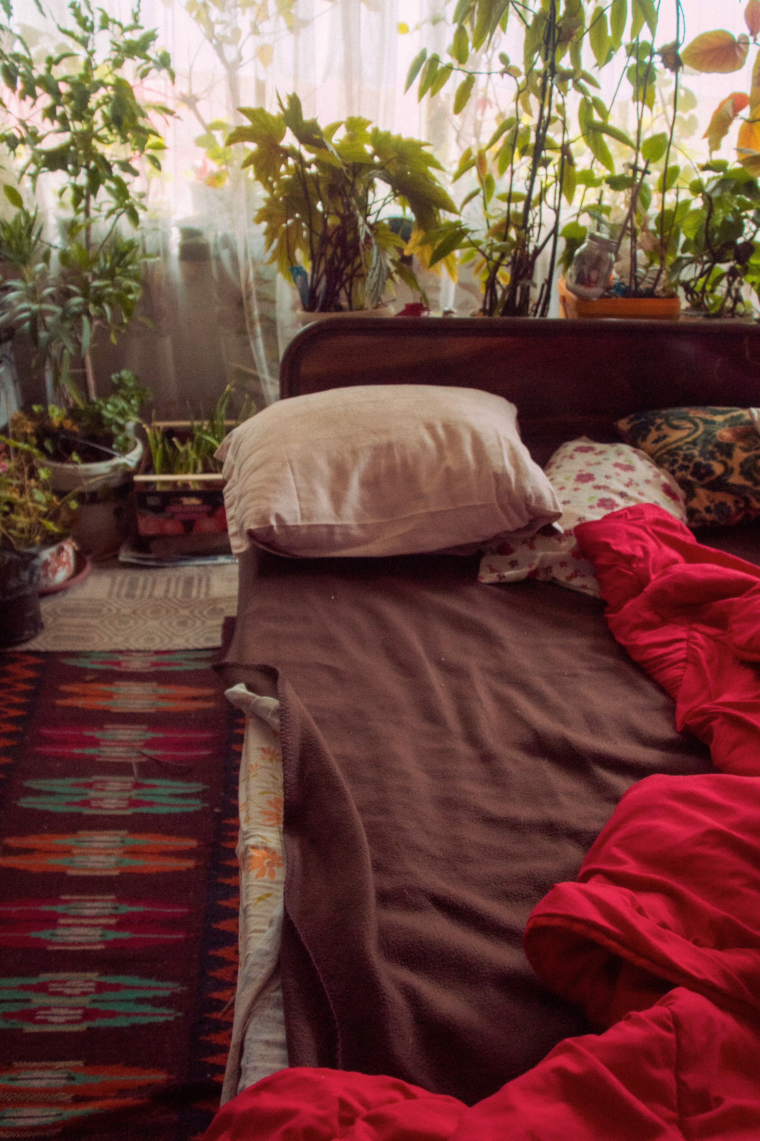 Still Home. Professional Photographer, Videographer in London Dilyana Tankova