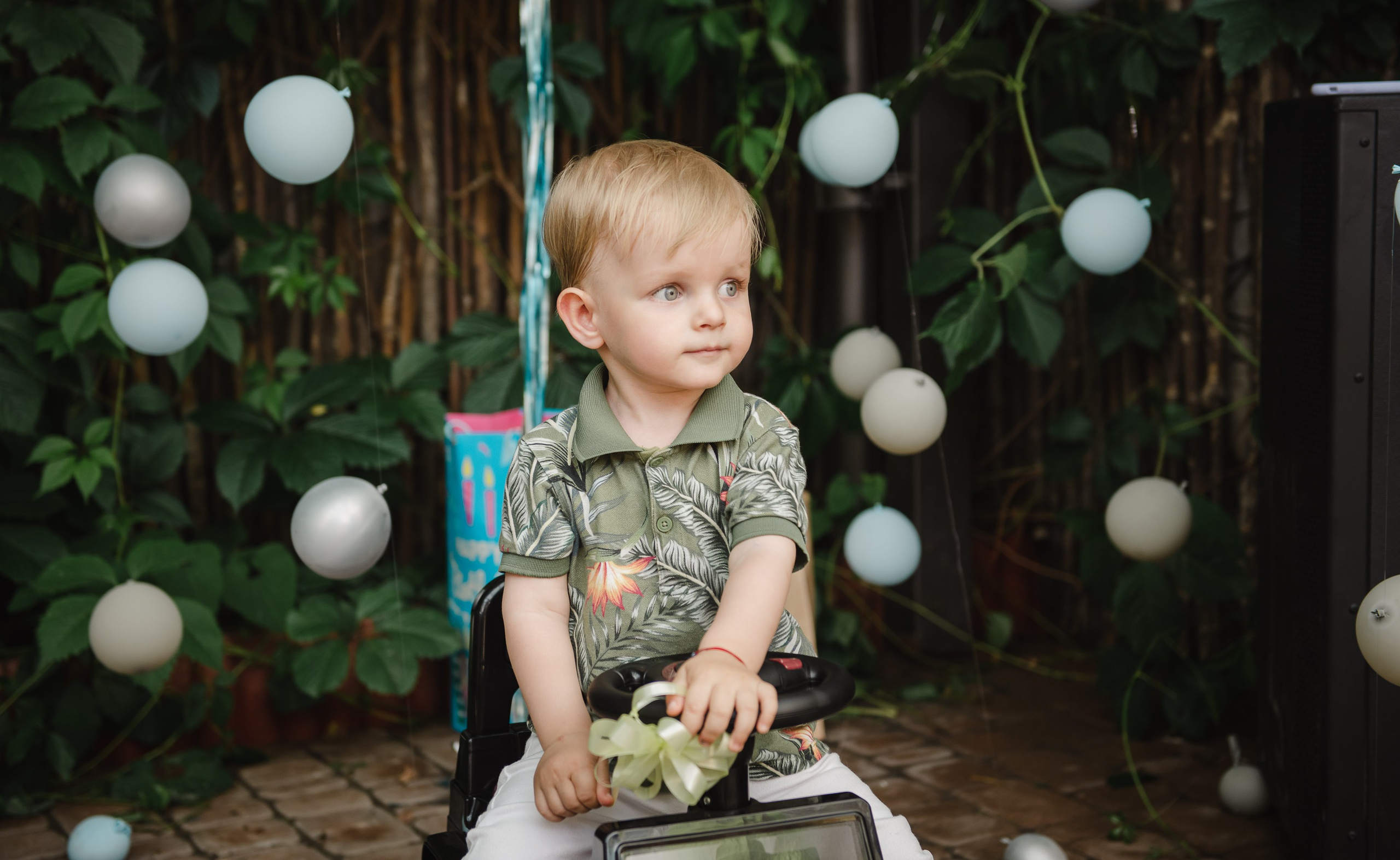DAVID. Fotograf de familie Vitalie Budoianu