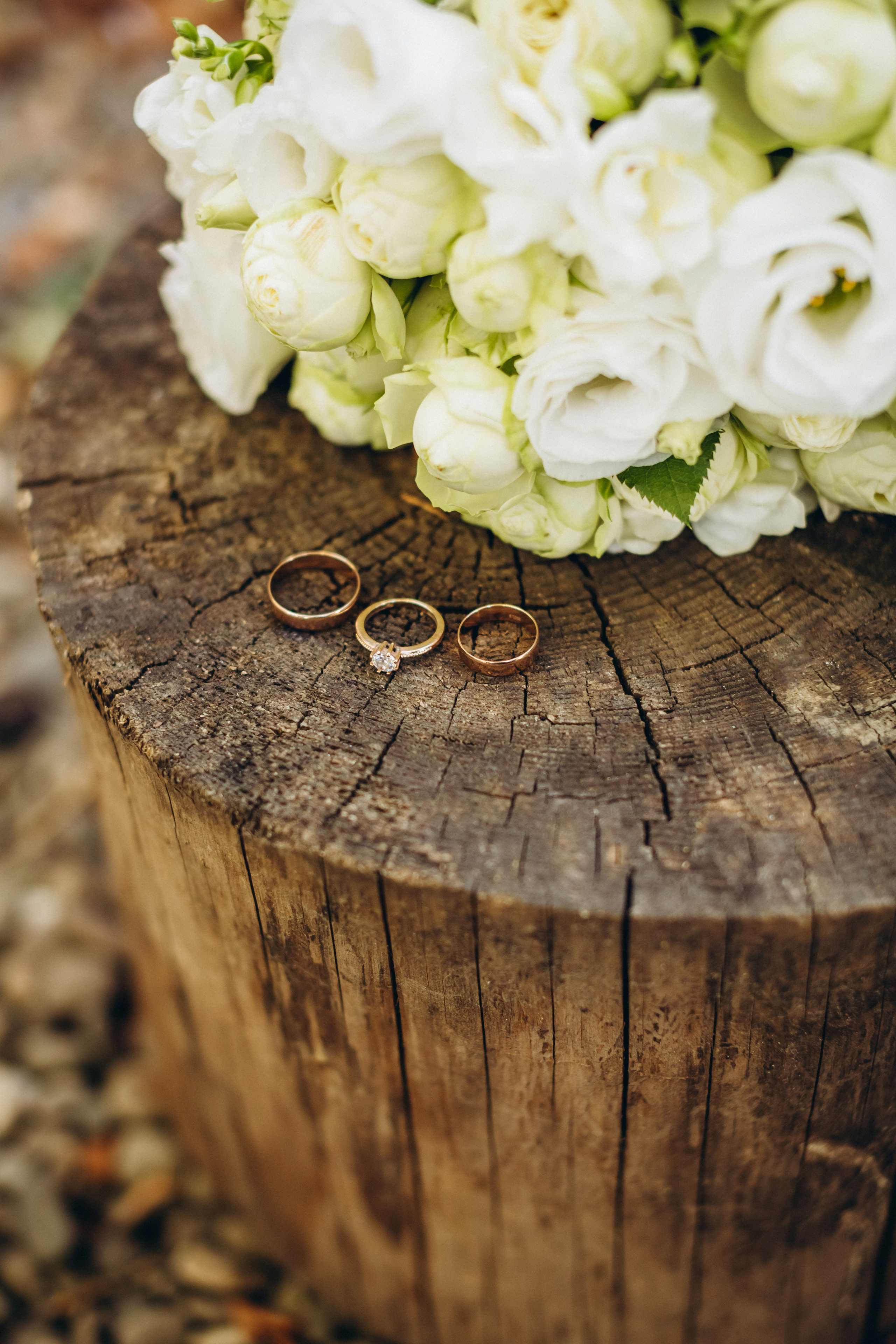 Denis & Nataly. Wedding and Family Photograph