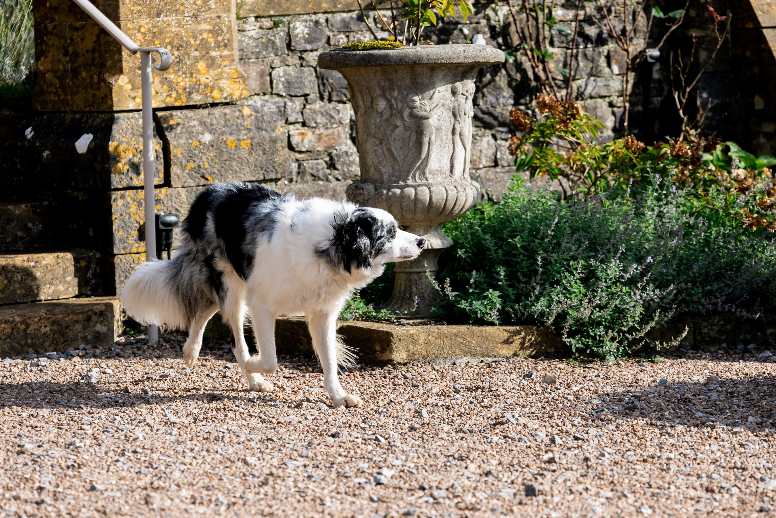 BobFest'23 in 2 days — TRUE LEGEND. September, 2023. Timeless Wedding & Event Photography — based London, working across Europe