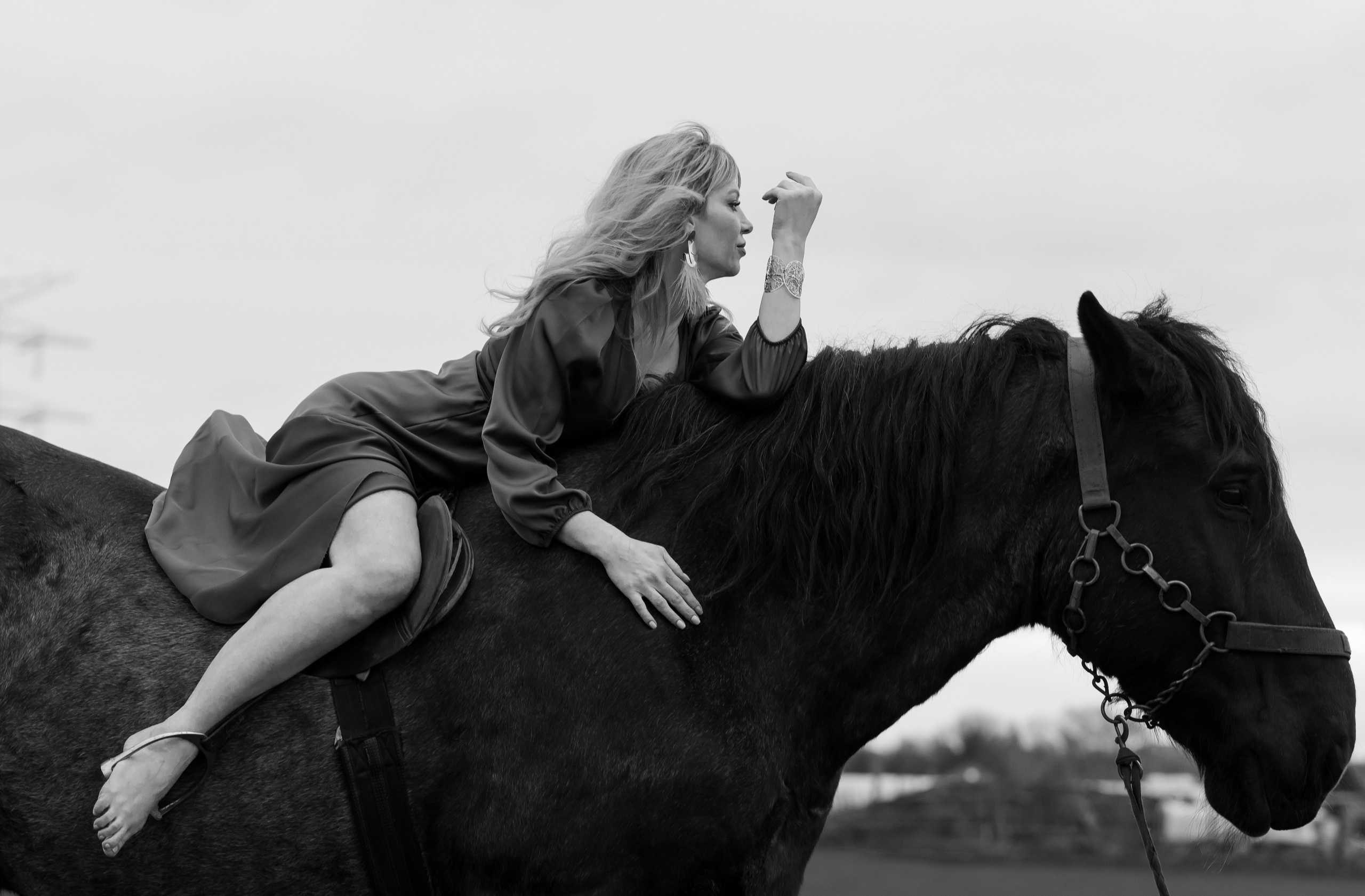 Photoshoot with Horses. Professional Photograher, Antwerpen/Belgium