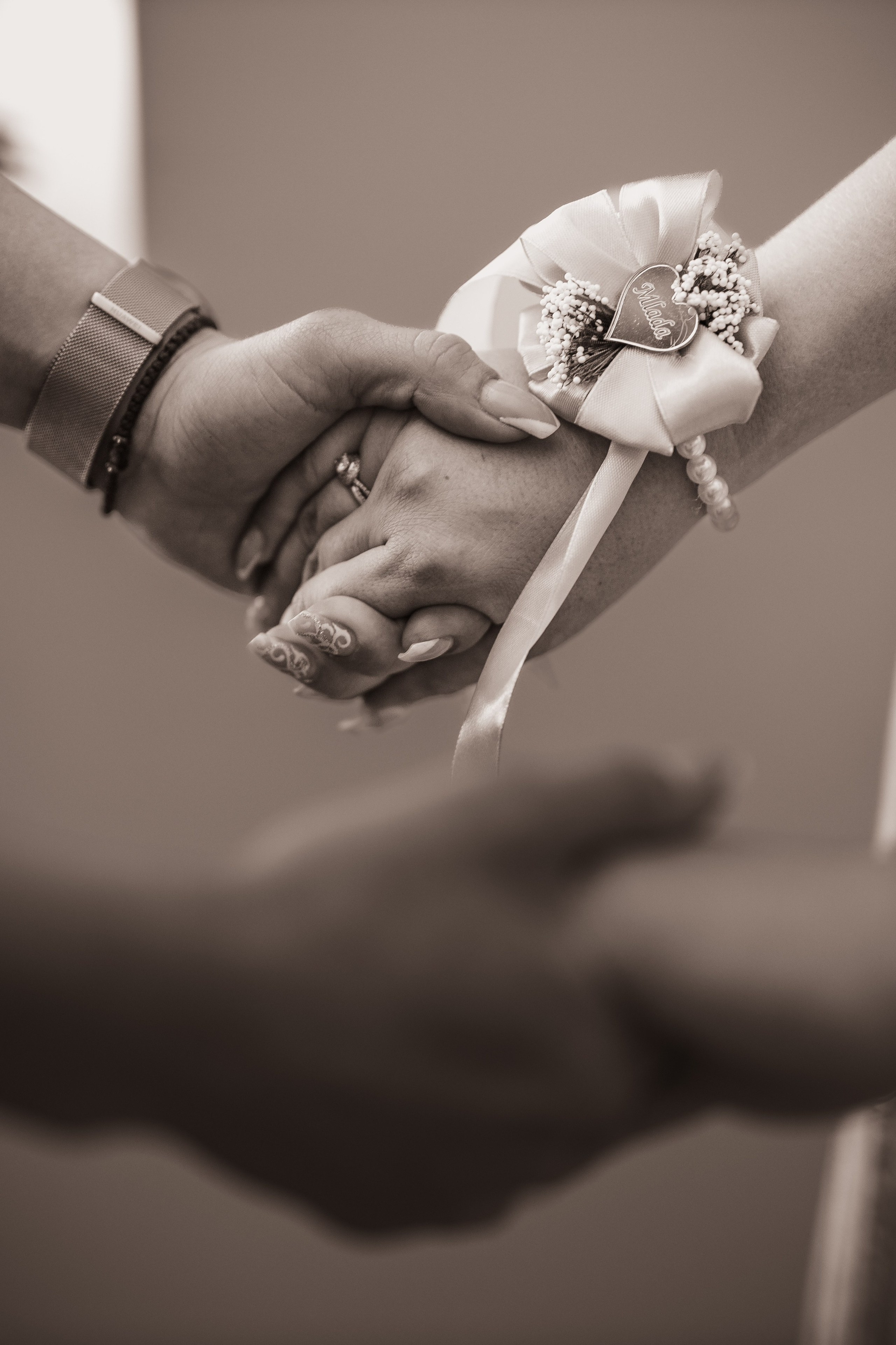 Nina & Bojan. Marko Tucić Photography | Fotograf Zrenjanin