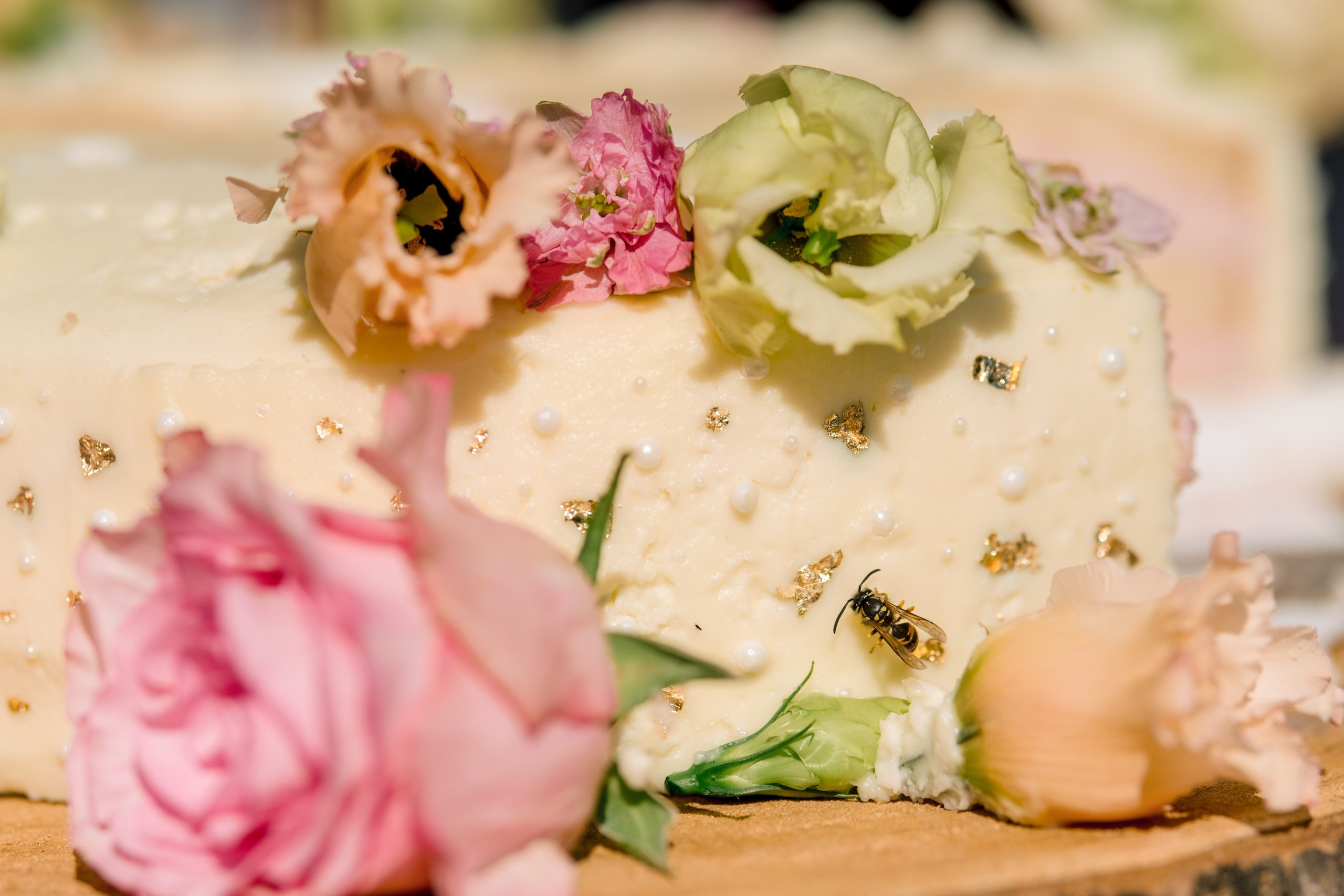 Hochzeit Kloster Bronnbach – Hochzeitsfotografin Würzburg. Anna Saribekyan – Beste Hochzeitsfotografin in Würzburg, Top 10 in Deutschland