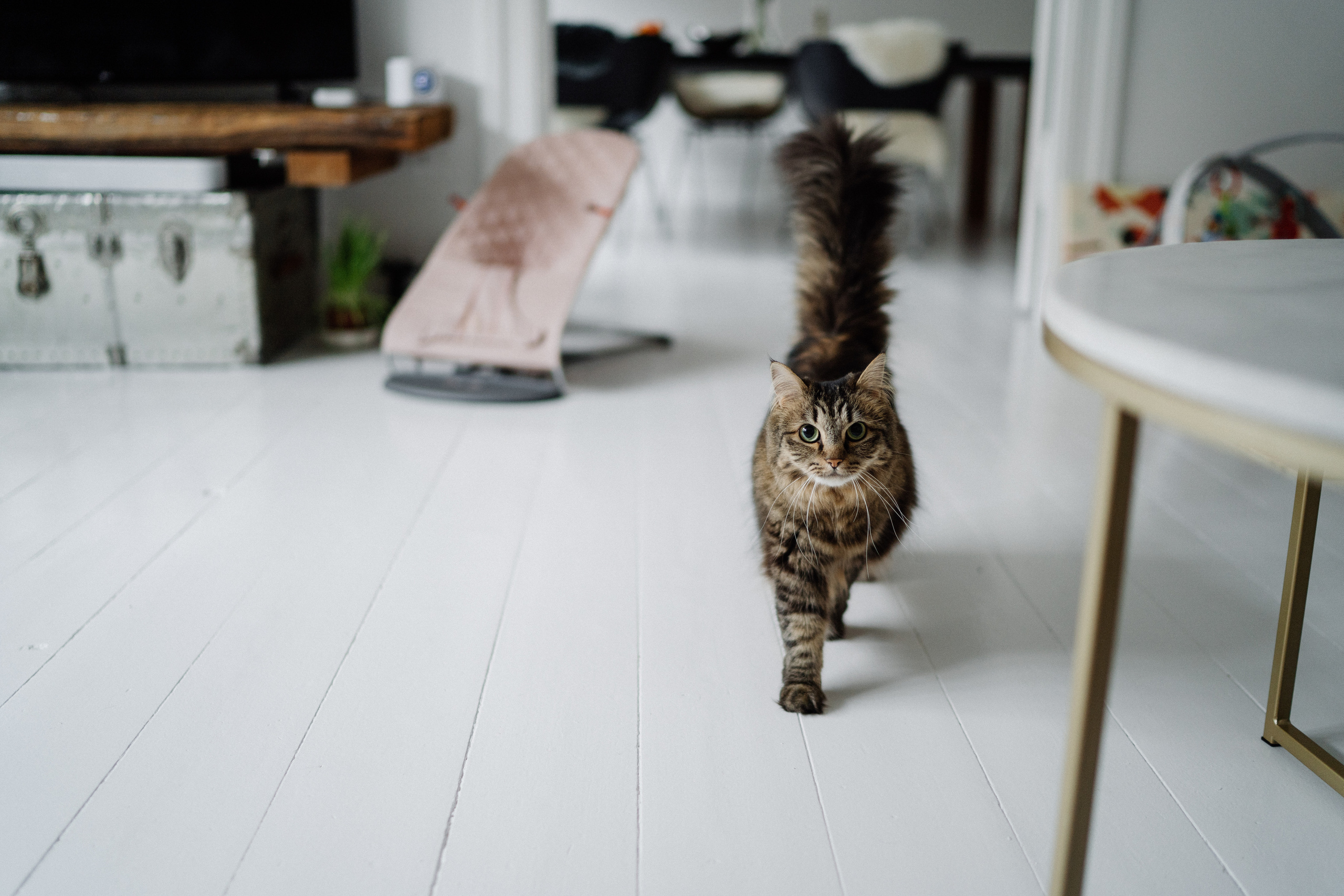 Natalie, Christian & Benjamin. Photographer in Copenhagen Olga Maliuk