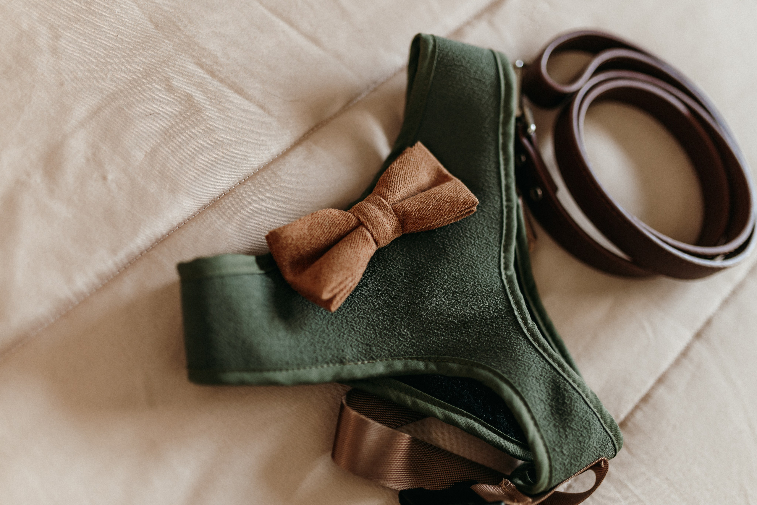 São & Luís. Photographe de mariage et de famille à Braga — Alexandra Mieres Photography