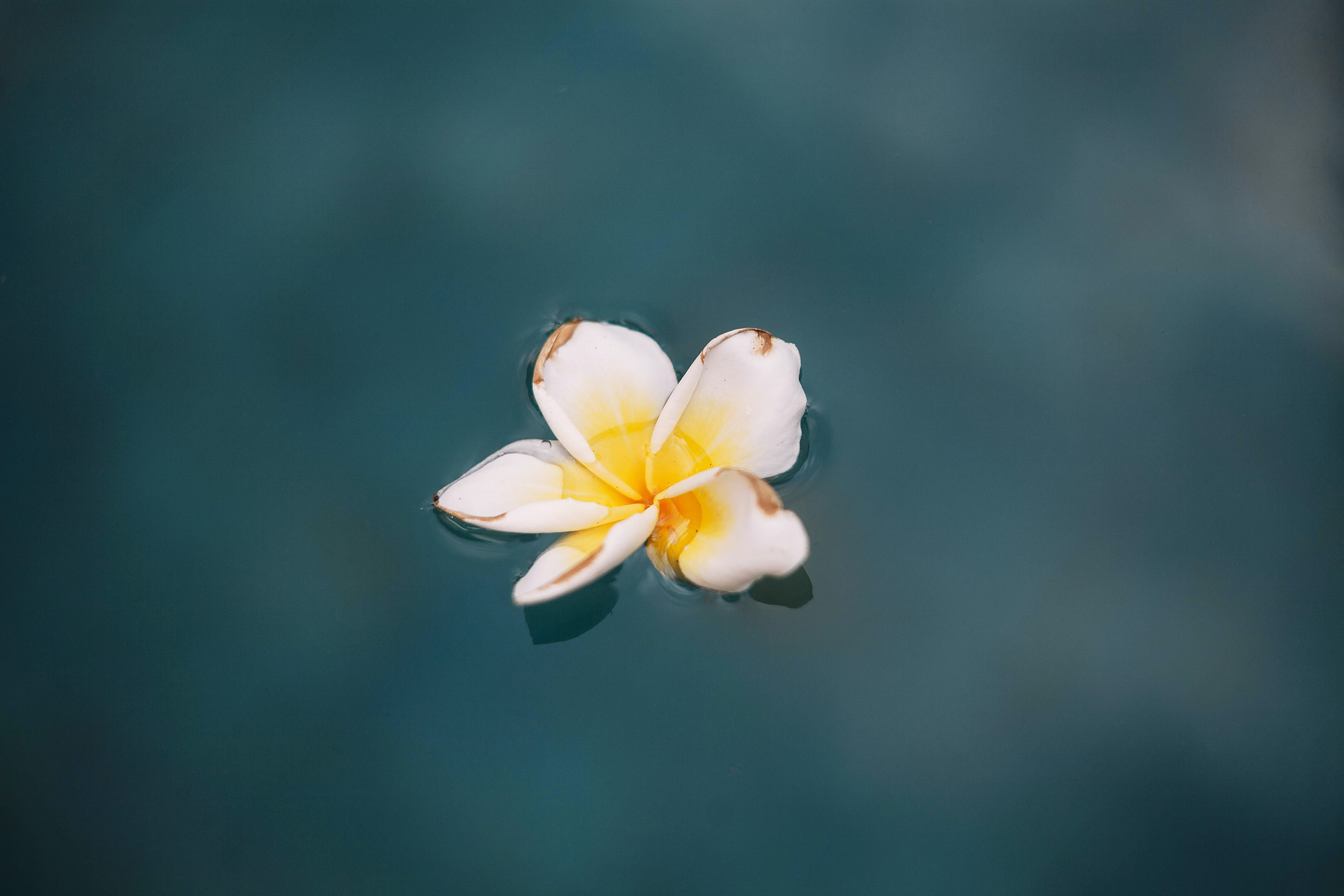 Landscapes. Wedding photographer Lyubov Sun Reutlingen