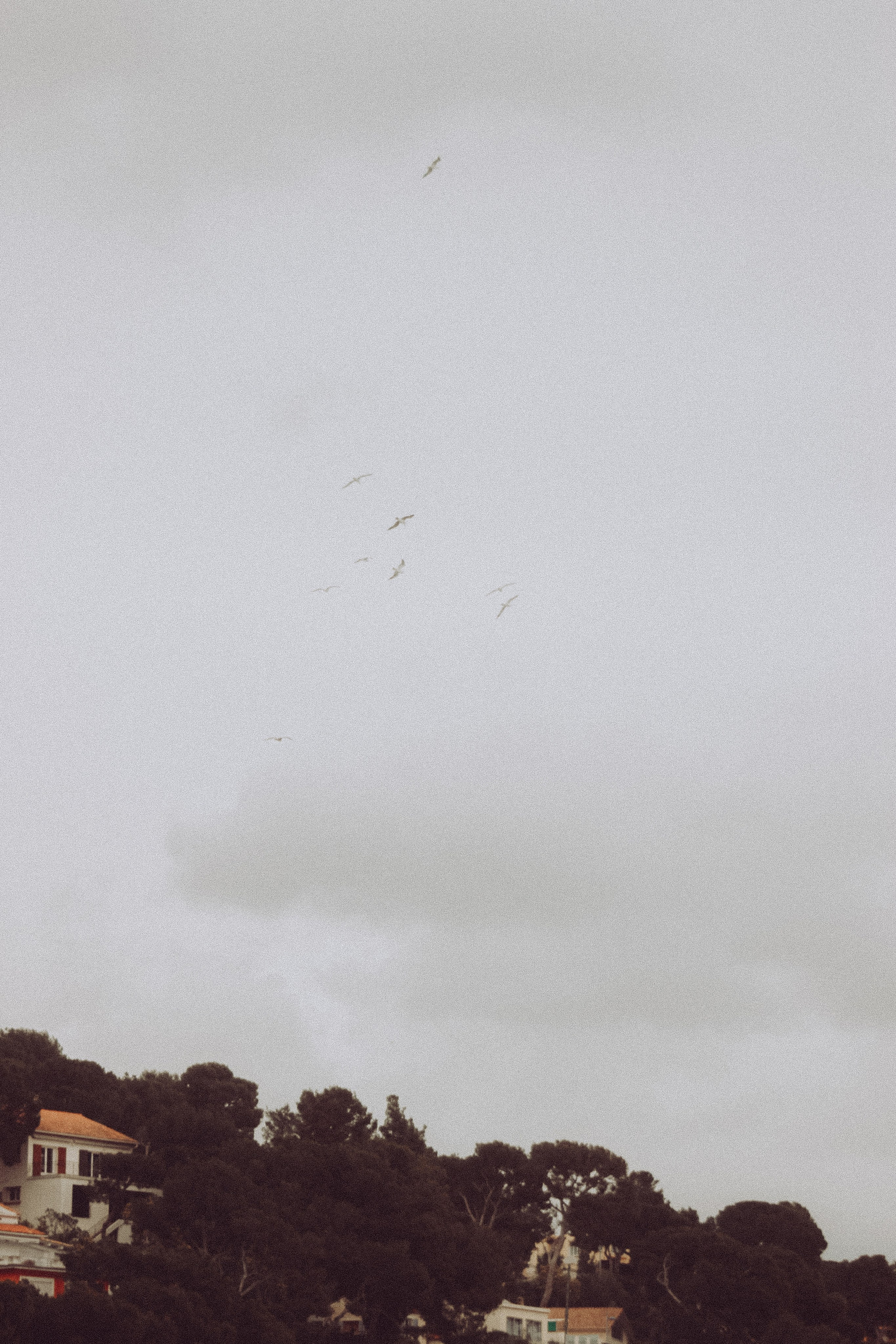 La Coudoulière, Saint Mandrier. Photographe à la Seyne sur Mer, Var