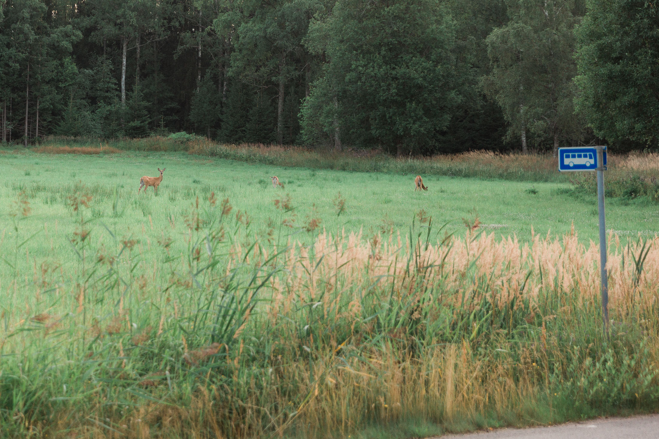 Anita&Matias, Långvik ja Haapajärven kirkko