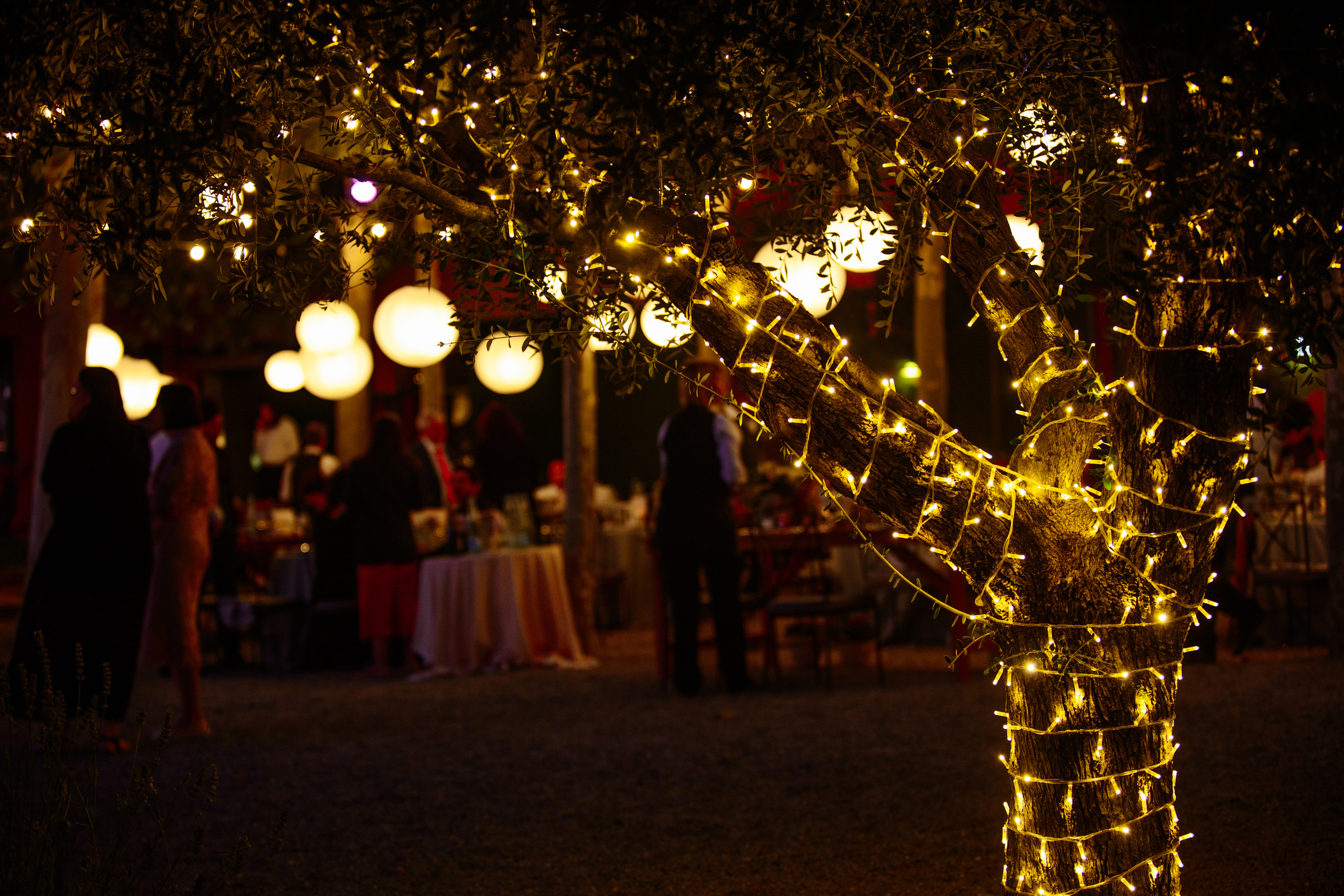 Agnese y Gal. Фотограф Екатерина Гасанова — фотосессии в Барселоне